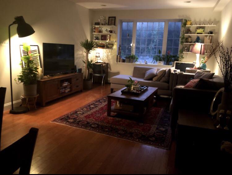 Hi everyone! Wondering what you think of my living room