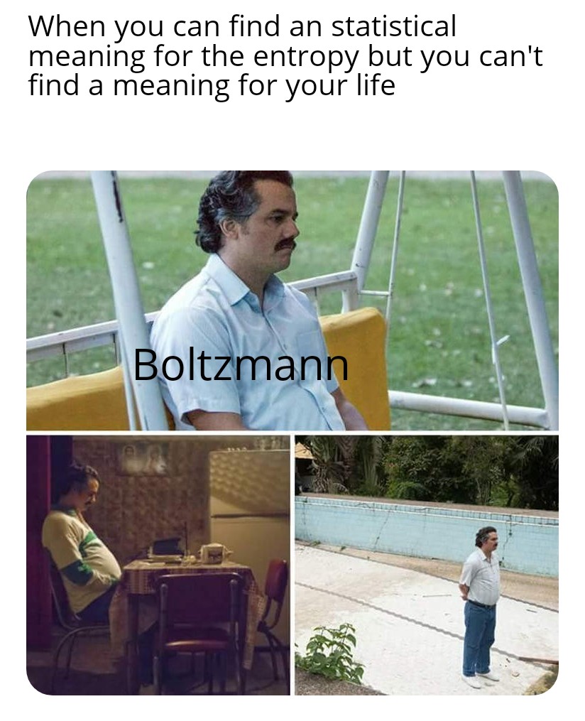 Statistical mechanics made him sad r/physicsmemes