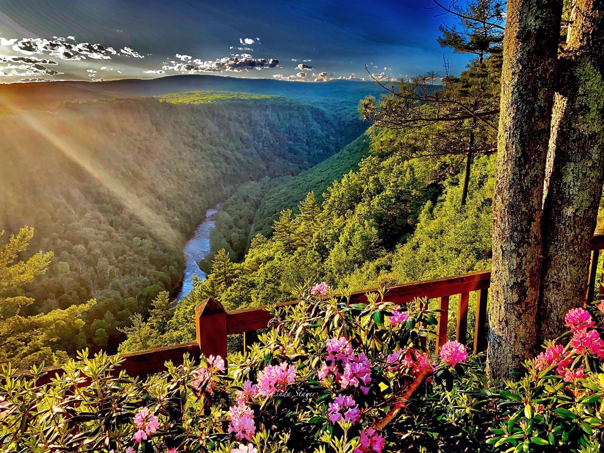 Hello from the PA Grand Canyon. I live here and love it here, I’m a PA