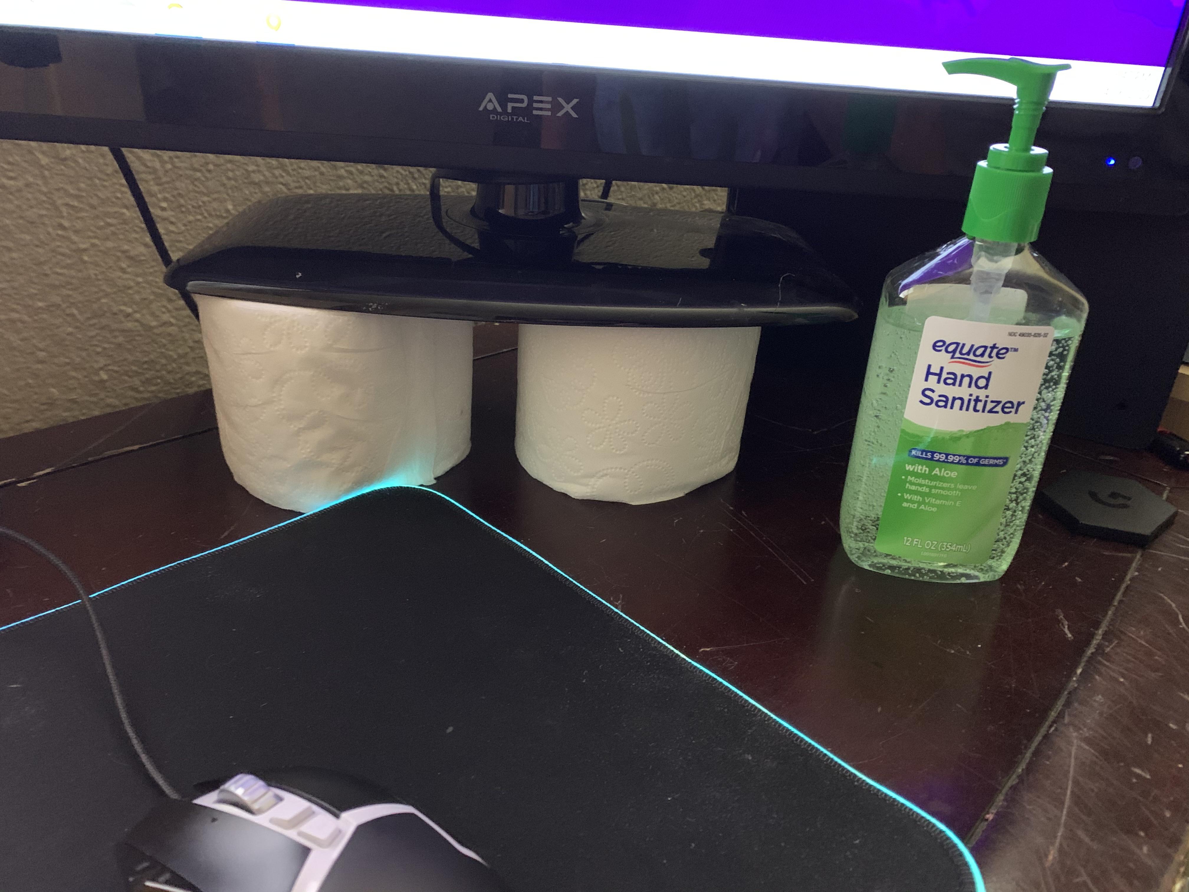 I got an expensive monitor stand!! And an expensive setup decoration