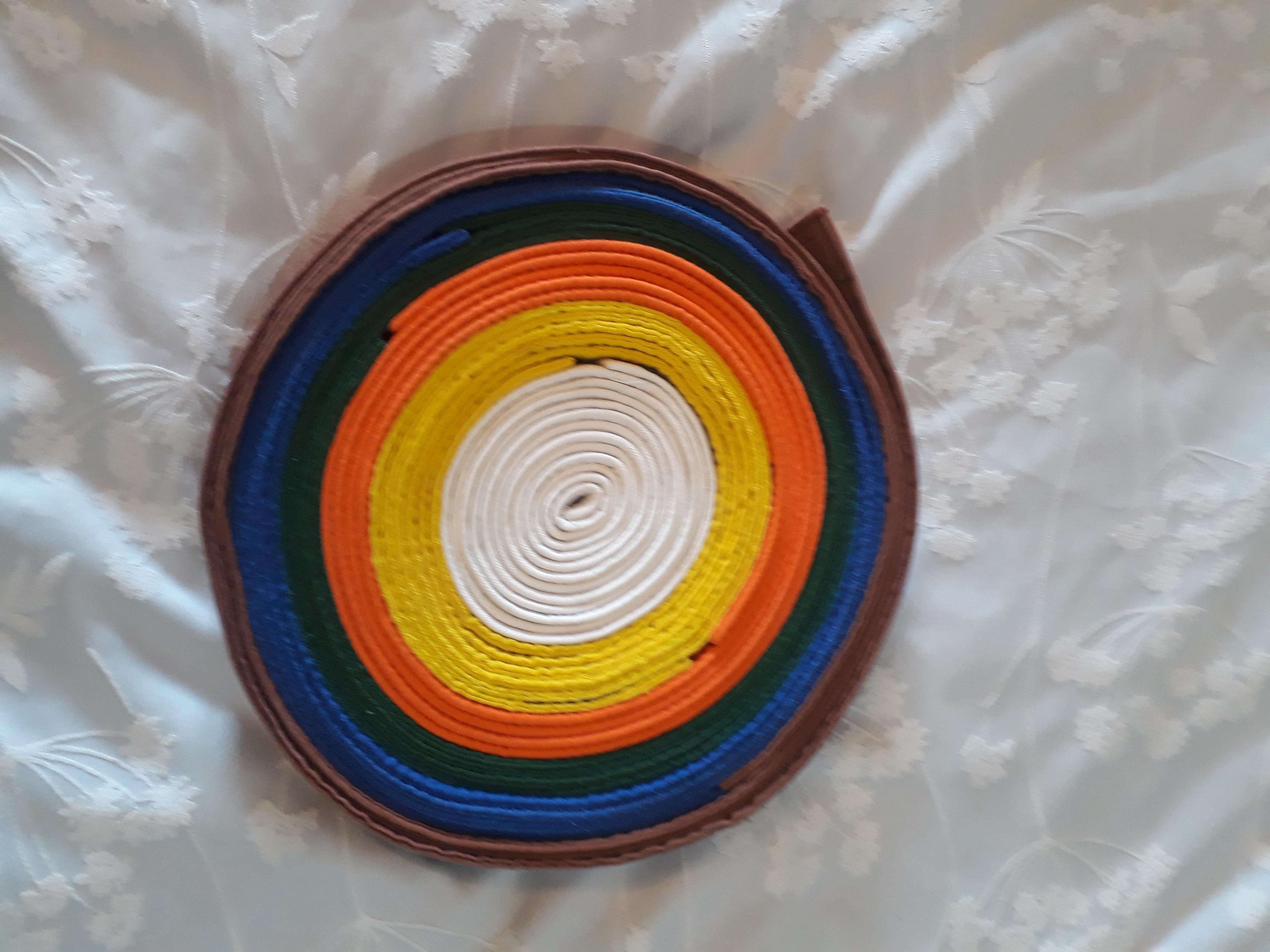 3rd Year of Judo. Very happy with my new Brown Belt r/judo