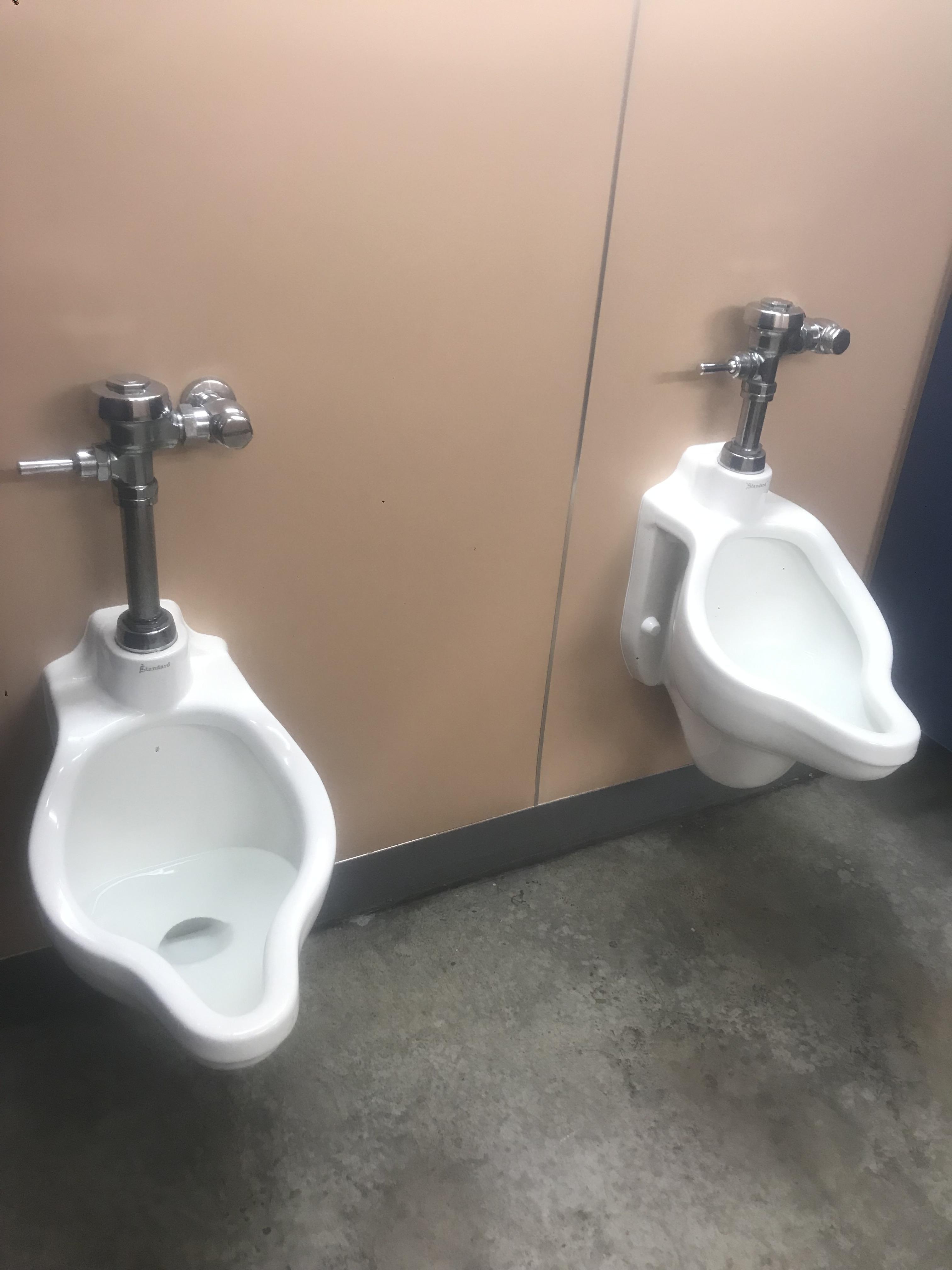 These unisex urinals that are basically just toilets but with no