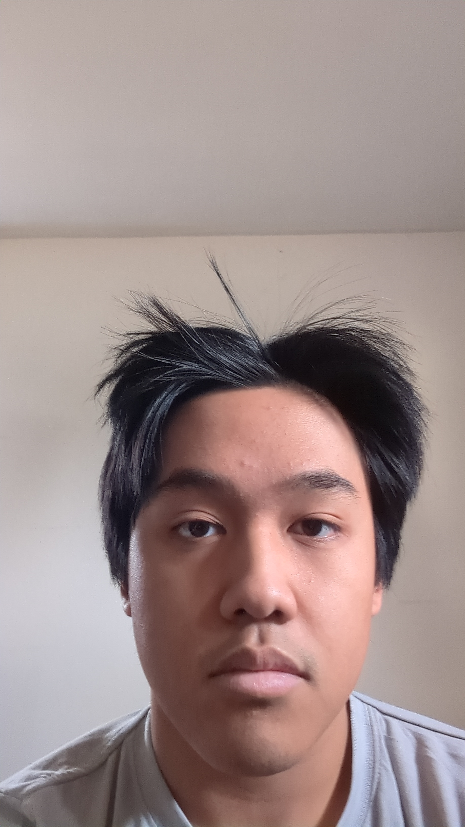 What haircut should I get? r/Hair