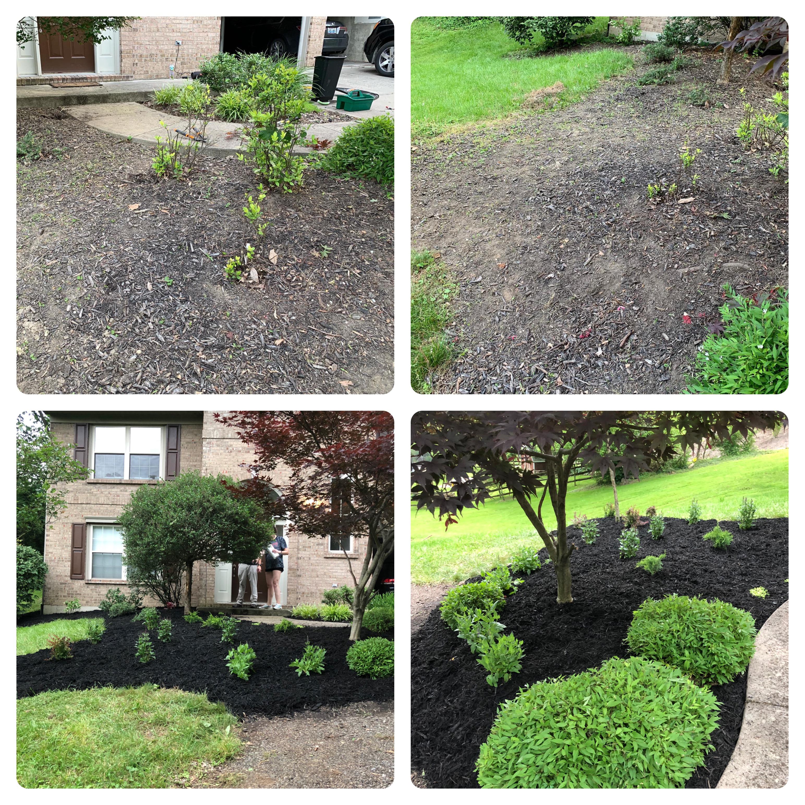 Before and after landscaping our front yard! r/landscaping