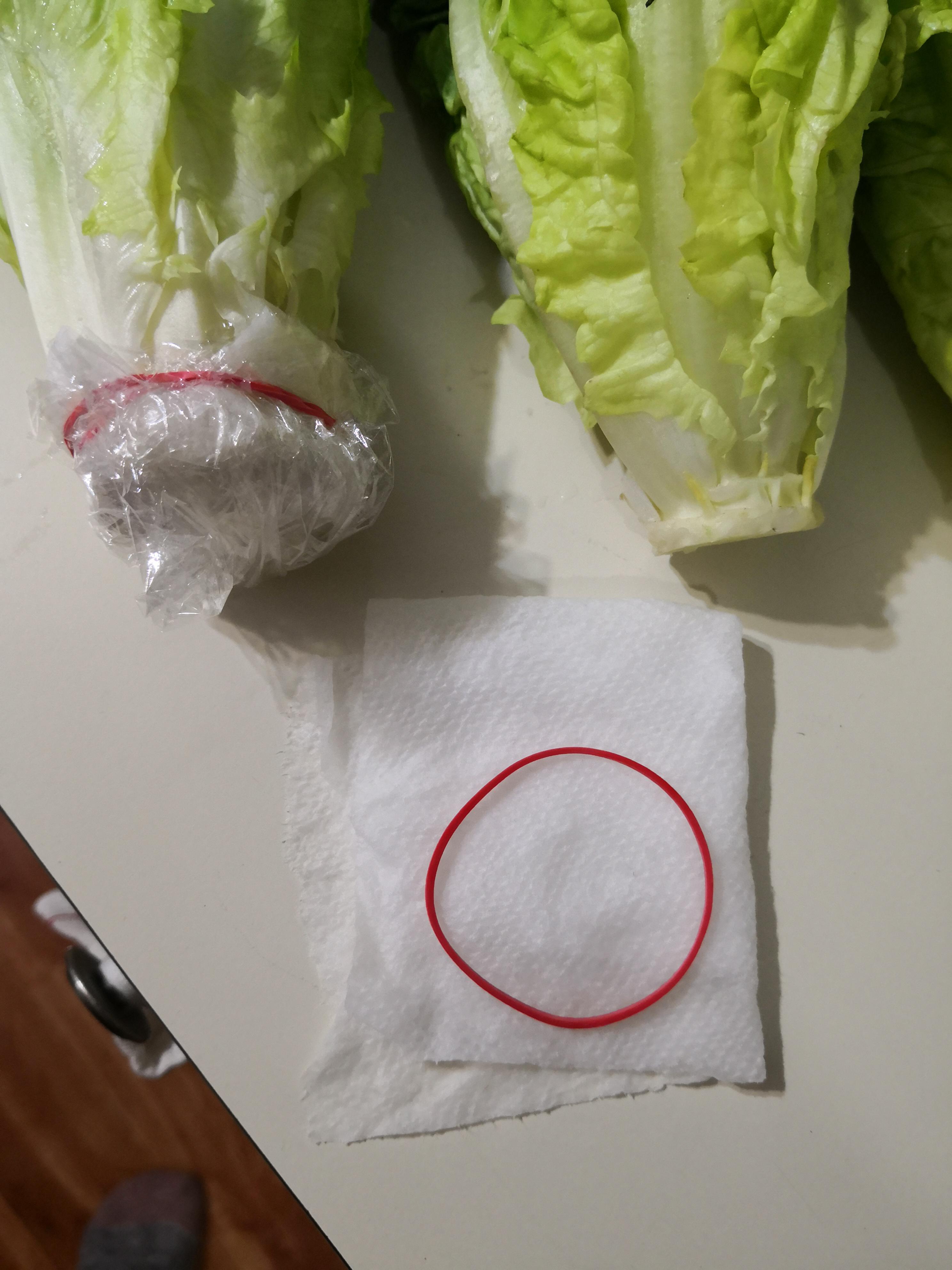 Keep lettuce alive and fresher than you got it at the store by storing