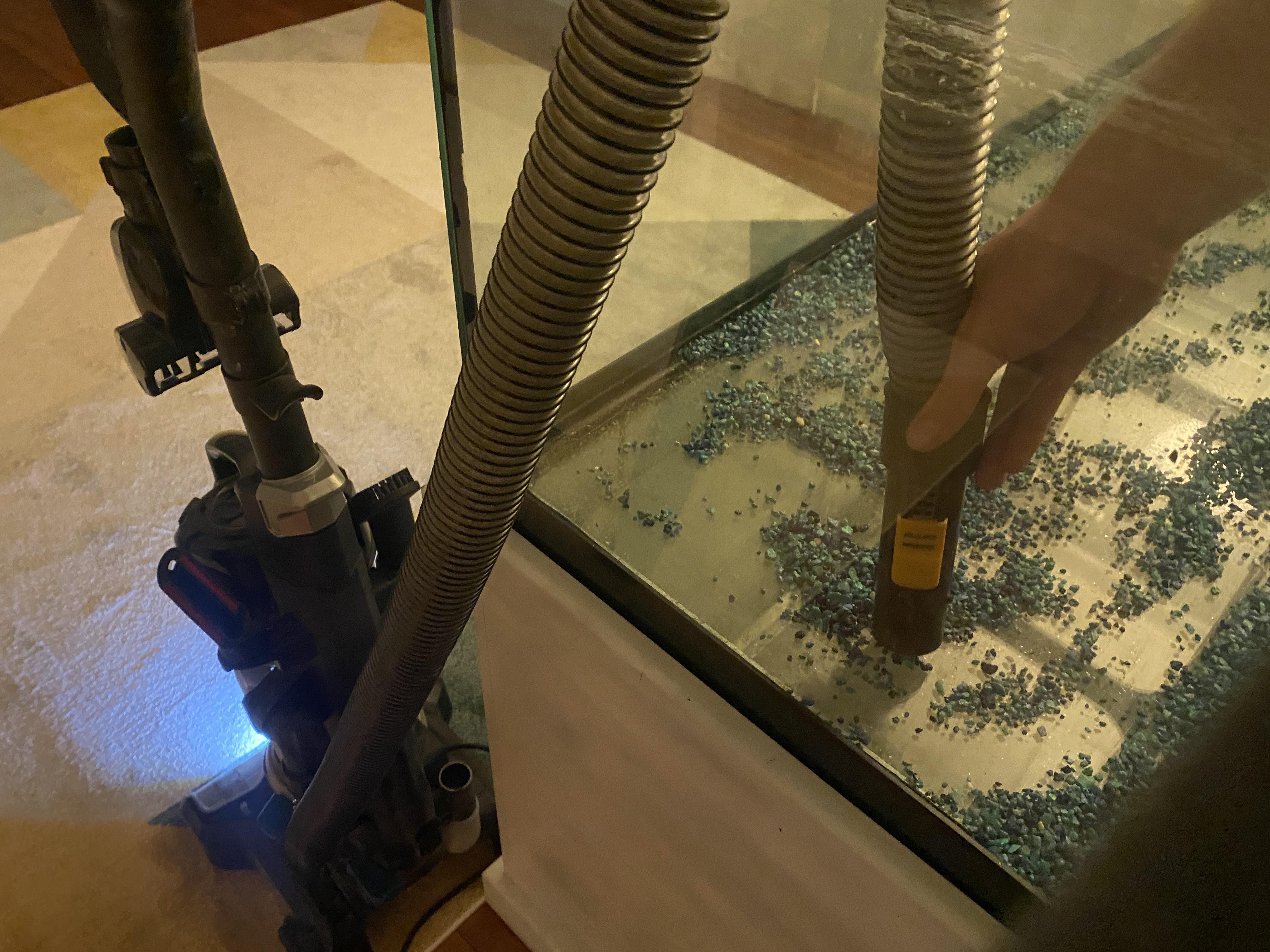 How often do you all vacuum your gravel? This feels like a lot of work