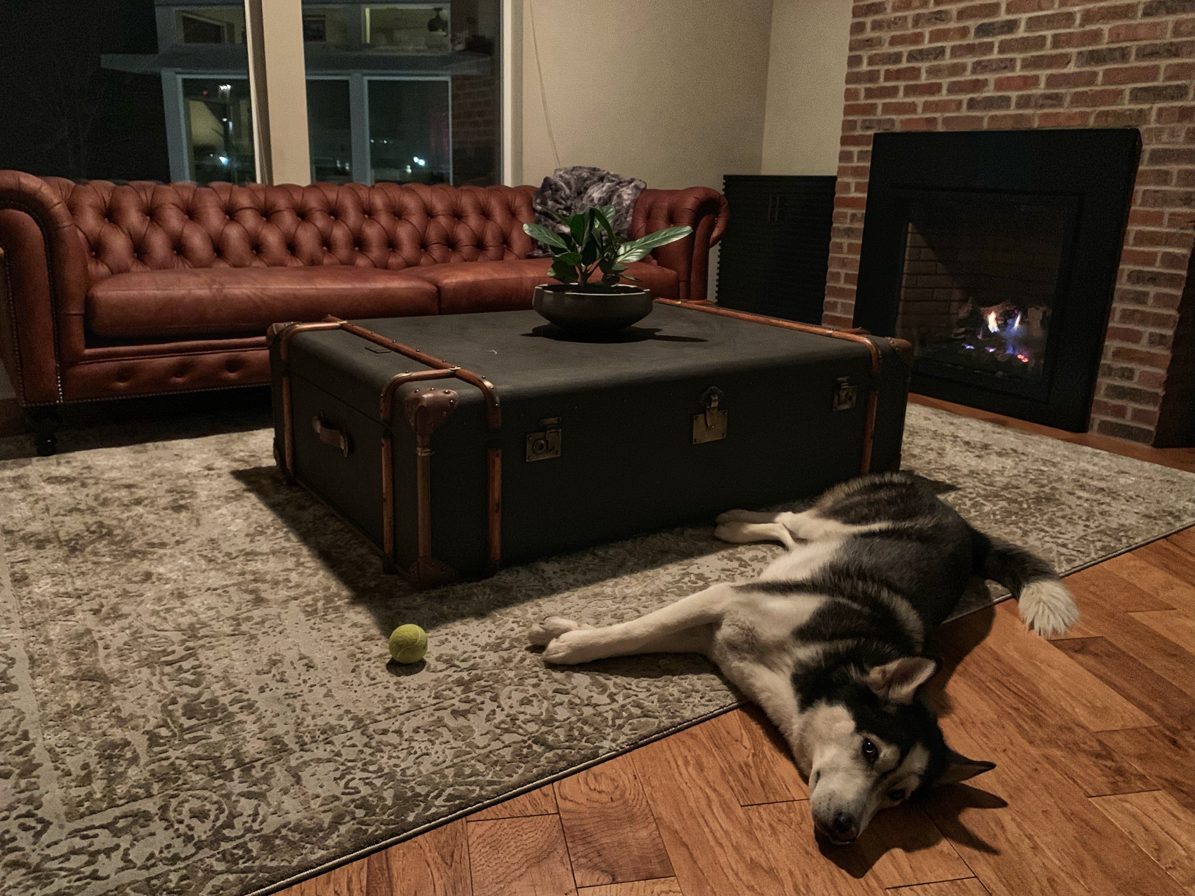 Need help lounge/accent chair(s) to pair with chesterfield sofa