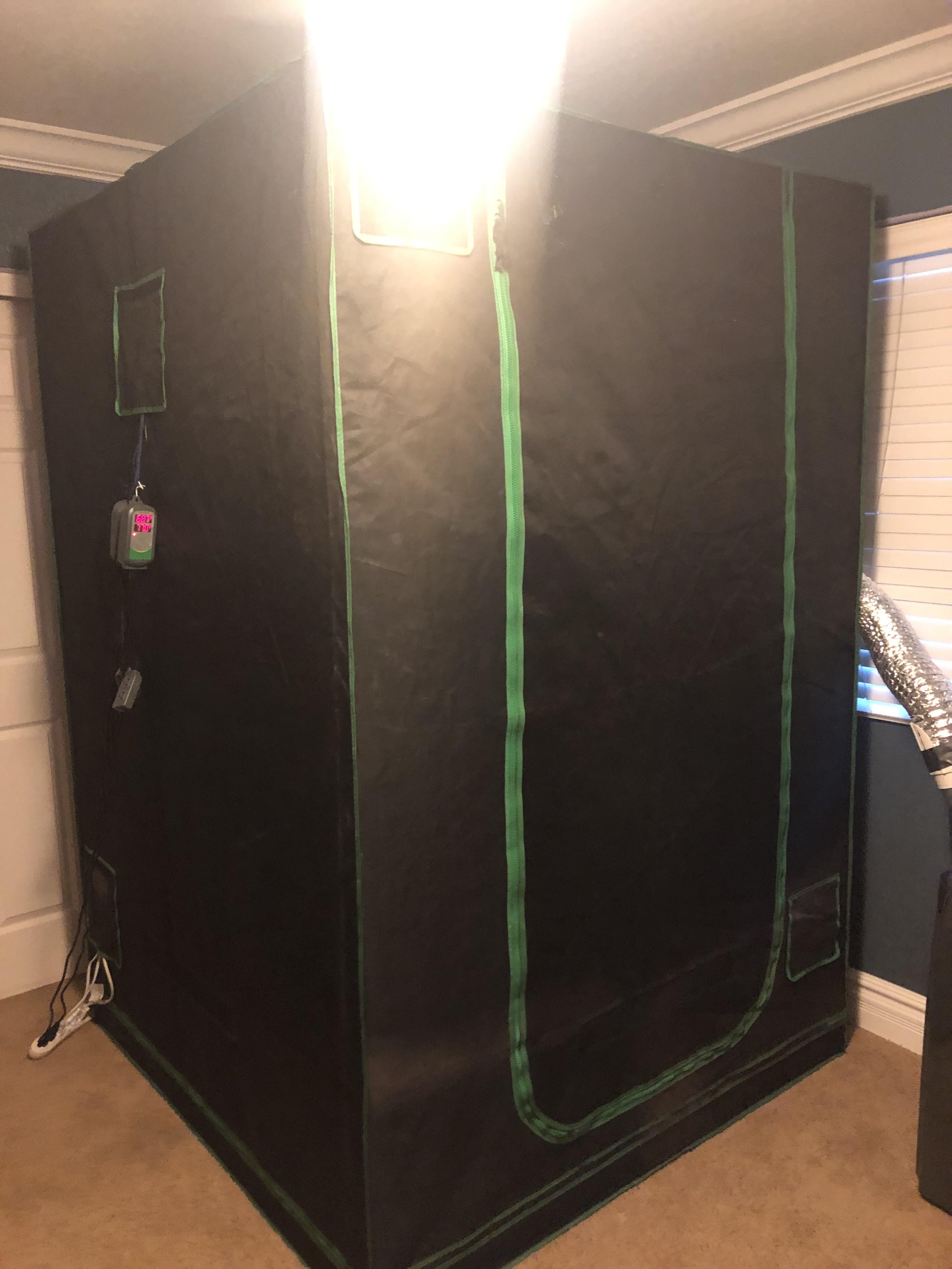 [General] Decided to start growing mushrooms. This is my grow tent, I