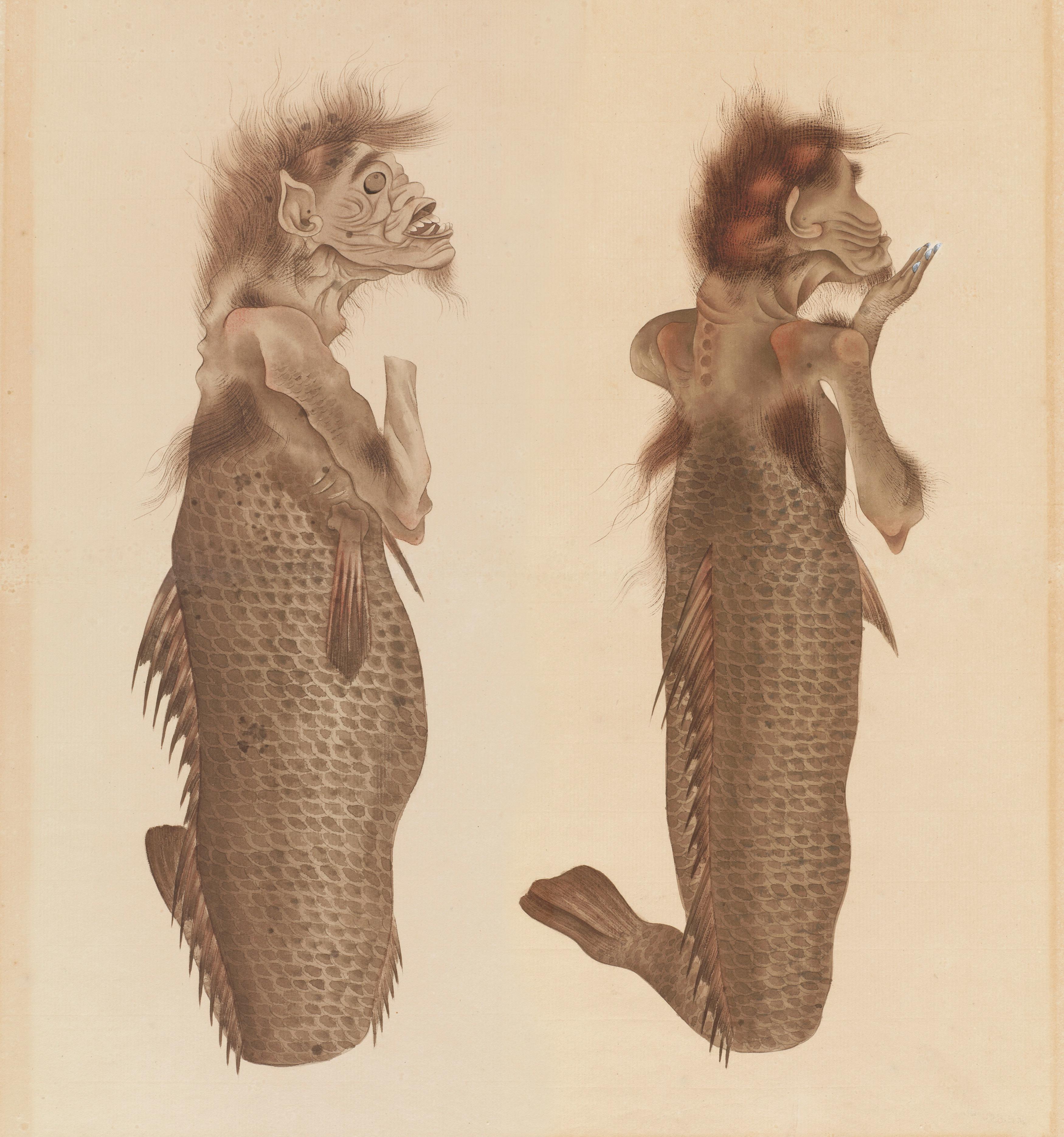 海外「江戸時代の日本の人魚の絵が不気味で面白過ぎる」 海外の反応 こんなニュースにでくわした