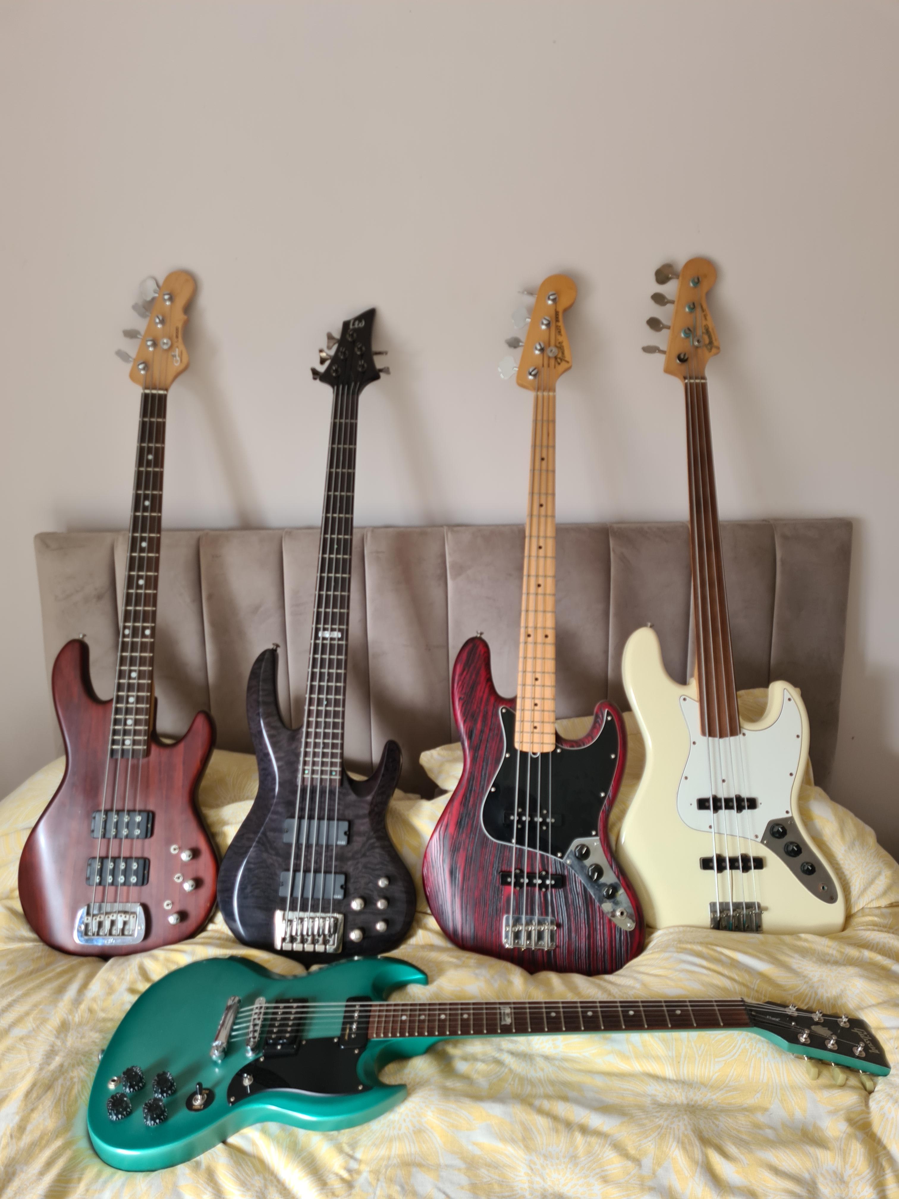 OBD No new bass, just appreciating what I have. r/BassGuitar