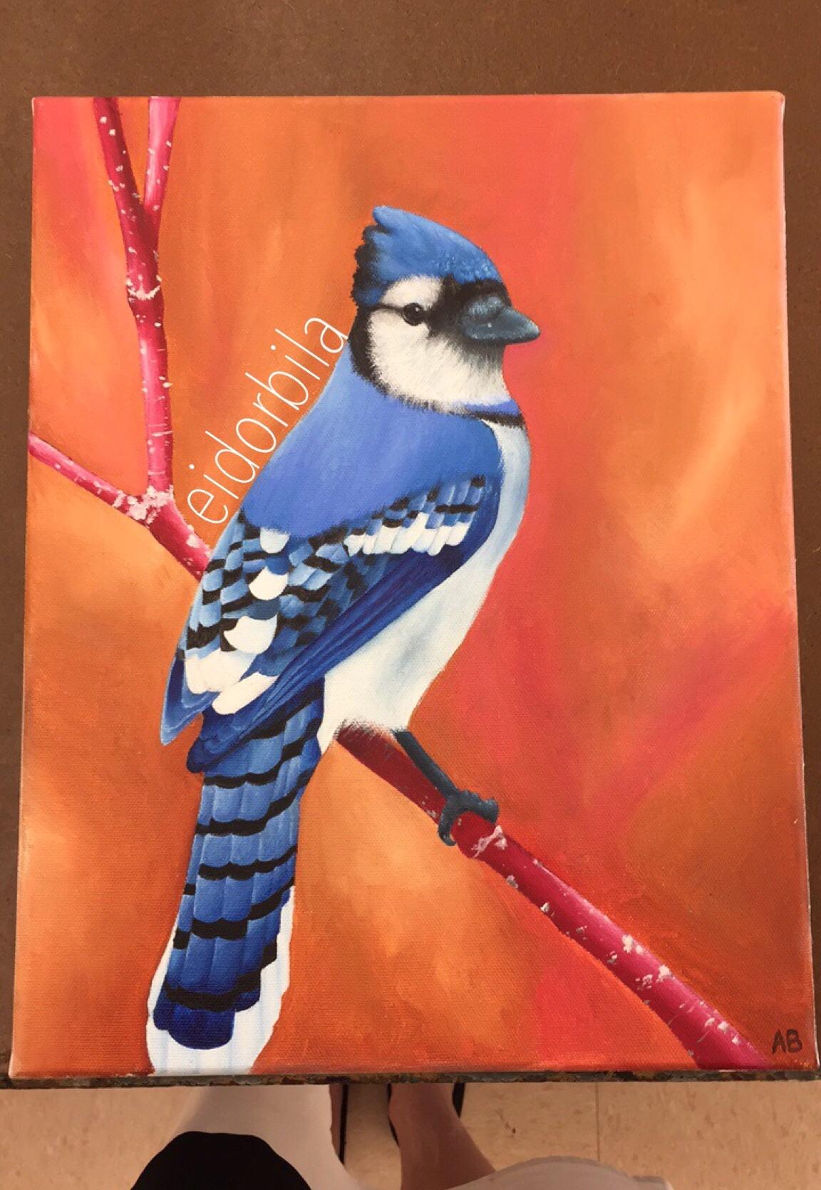 Blue jay painting, oil on canvas 8x11in r/Art