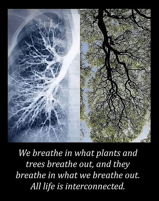 Breathe in, breathe out Soulnexus