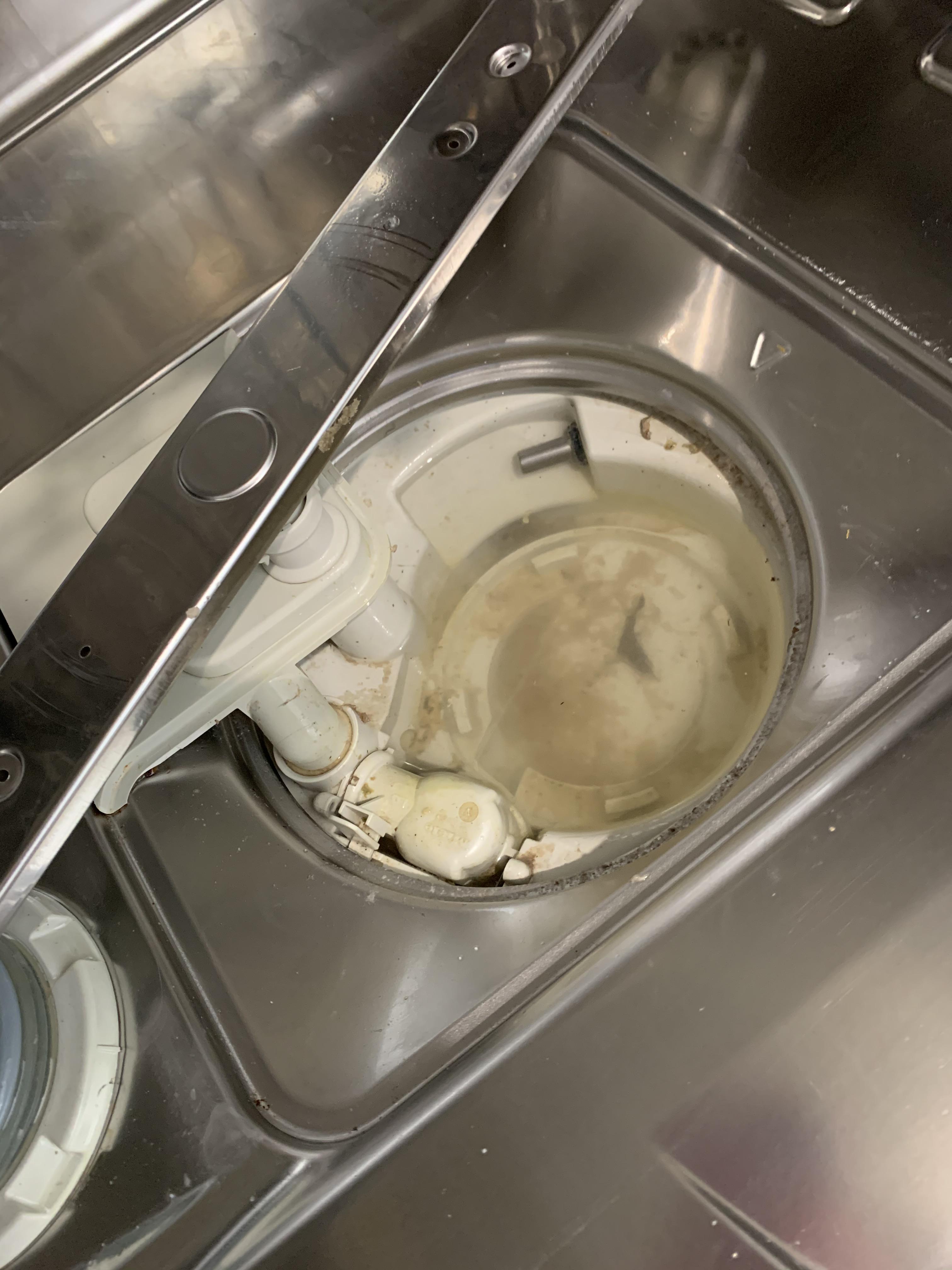 Revolting smelly dishwasher inside filter? (Pics) r/CleaningTips
