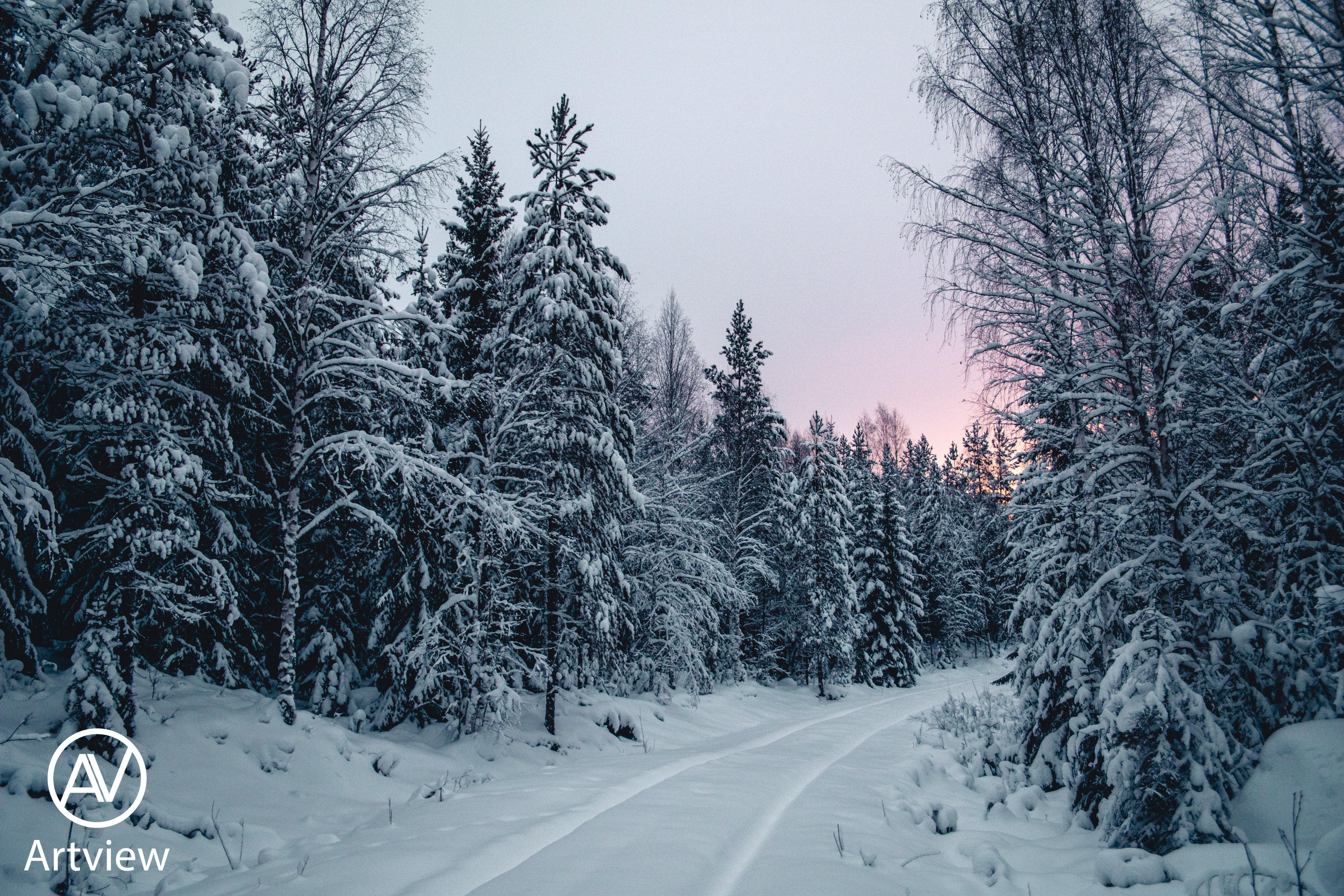 Last year in Sweden. This year there's no snow at all. r/pics