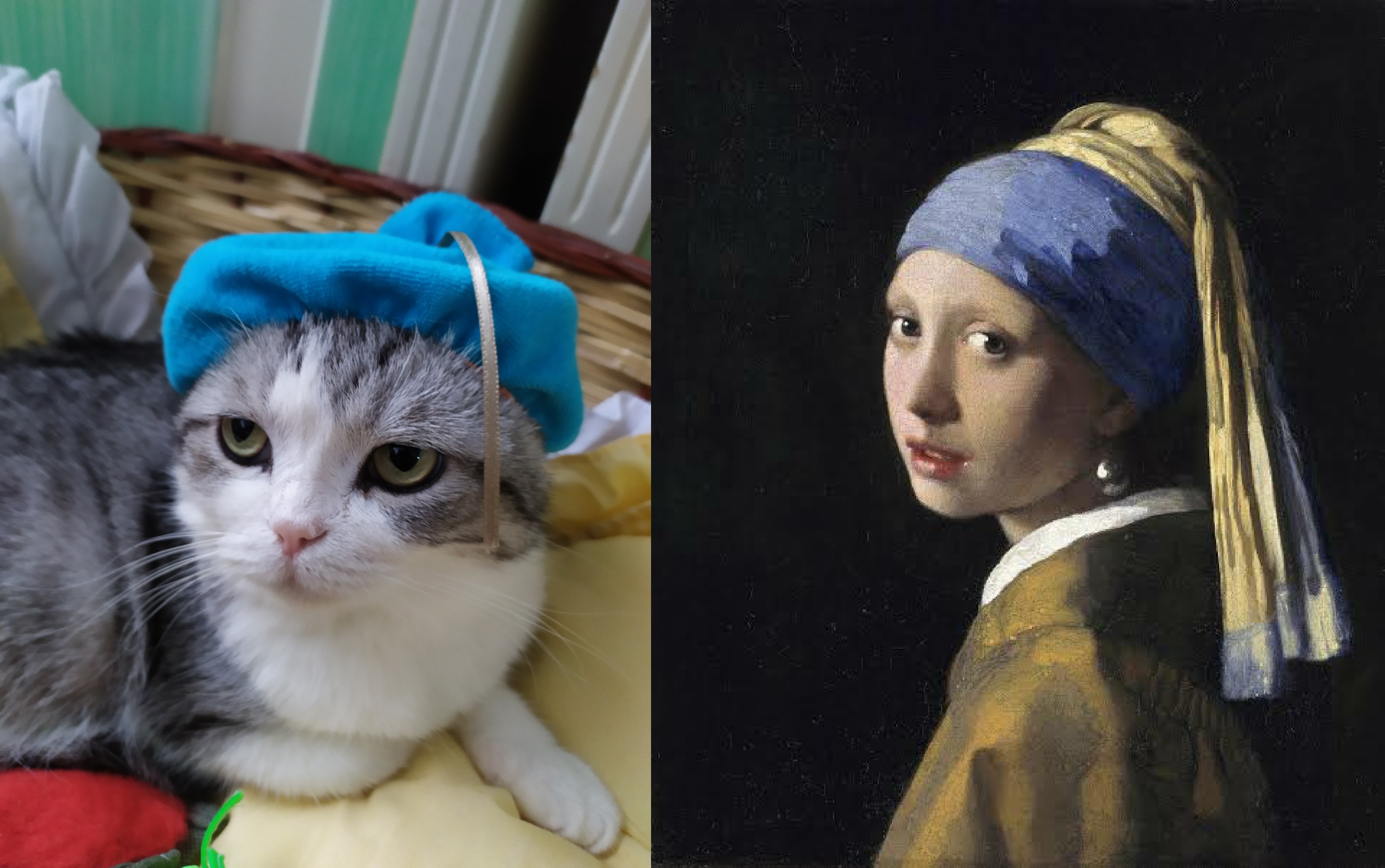My cat Pearl (left) and "Girl with a Pearl Earring" (right) r/cats