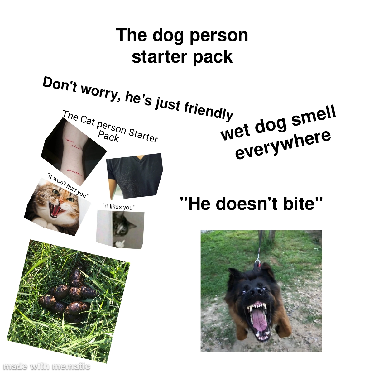 The dog person starter pack r/starterpacks