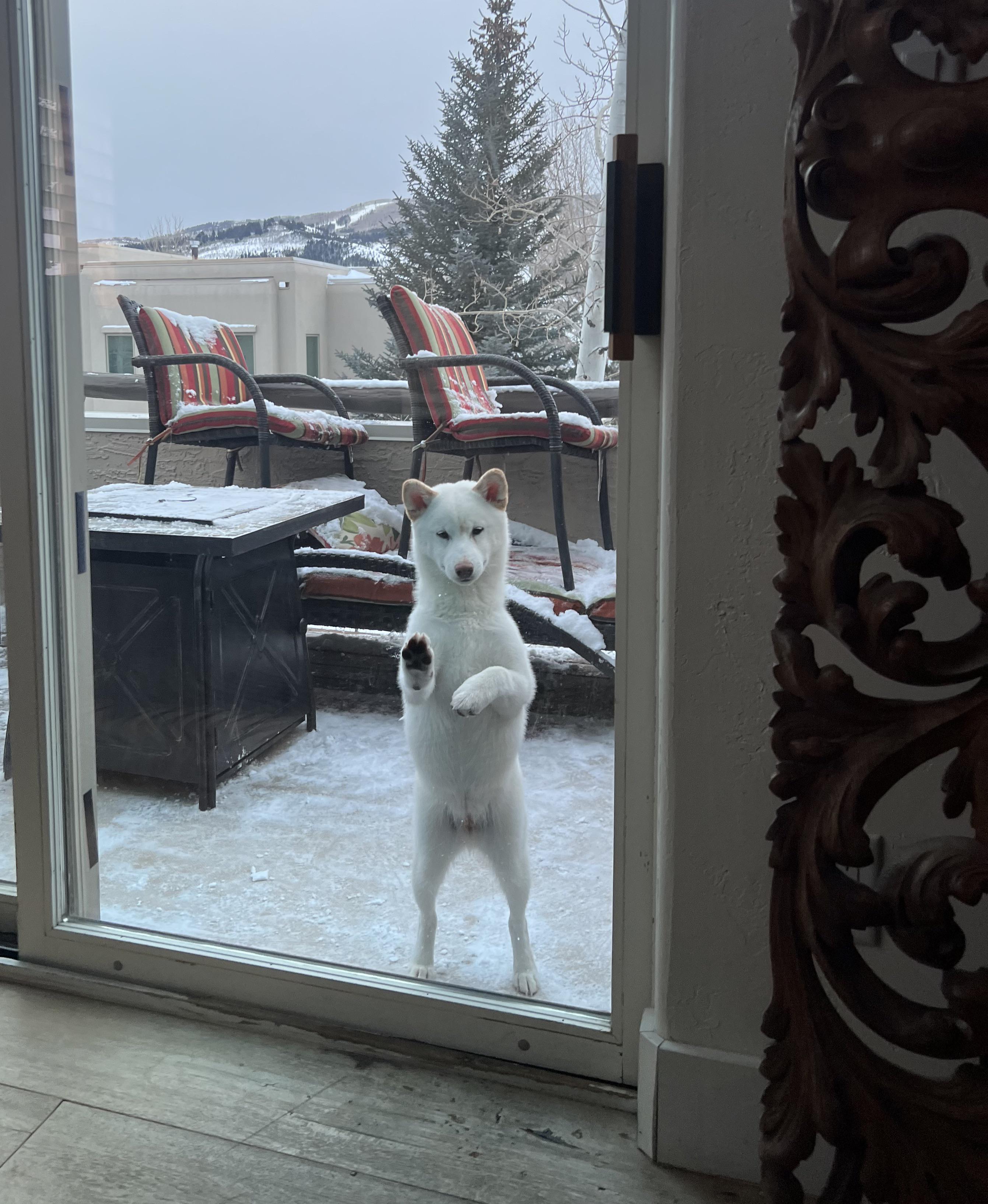 Konazb (u/Konazb) - Reddit