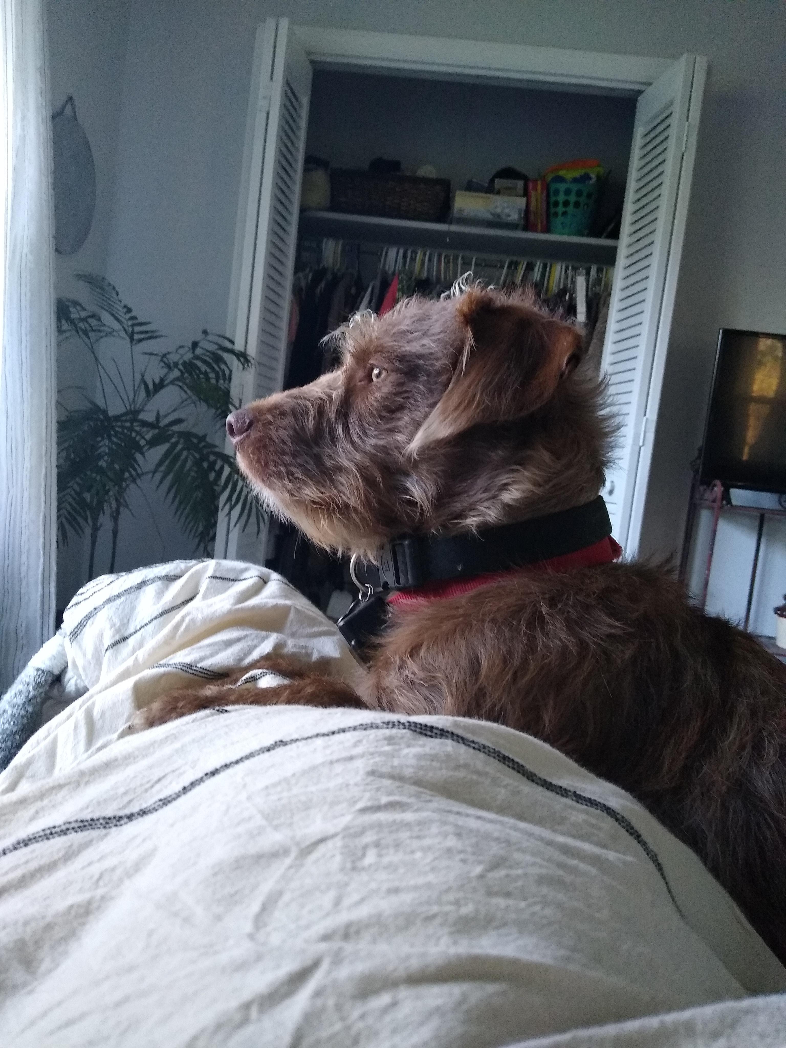 So glad someone told me about this sub. This is Salty. He's a boykin