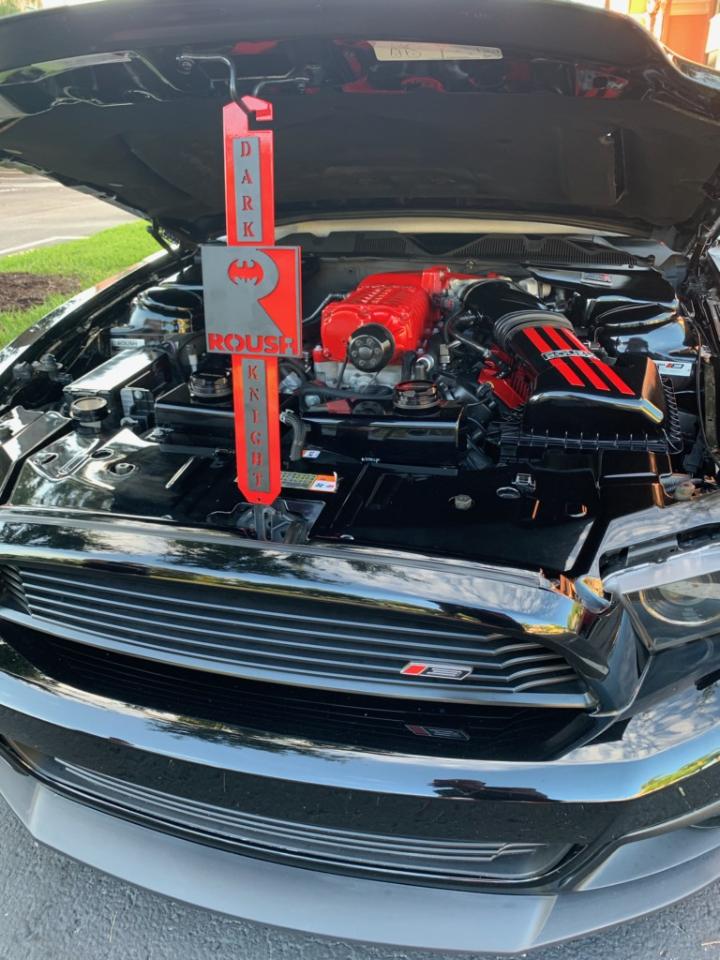 A custom hood prop I made for a guy in Florida. Roush stage 3 2015 if I remember correctly r