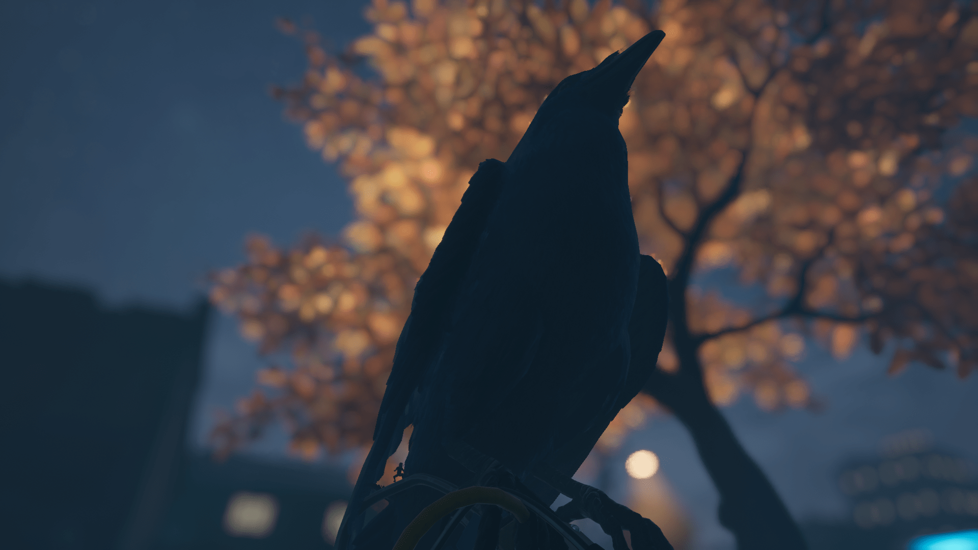 The Crow landed on my head r/GroundedGame