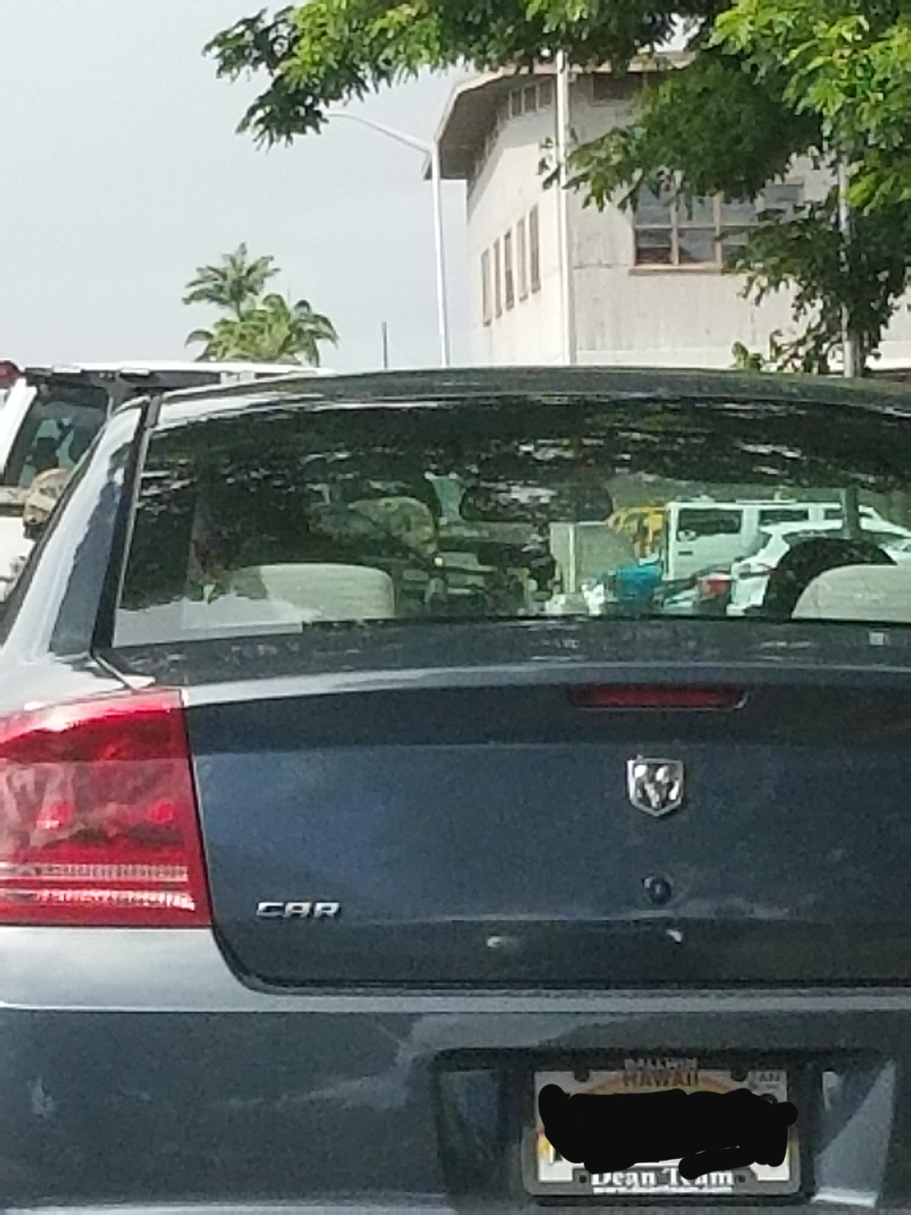 Got behind a guy who drives a Dodge....uh, Car mildlyinteresting