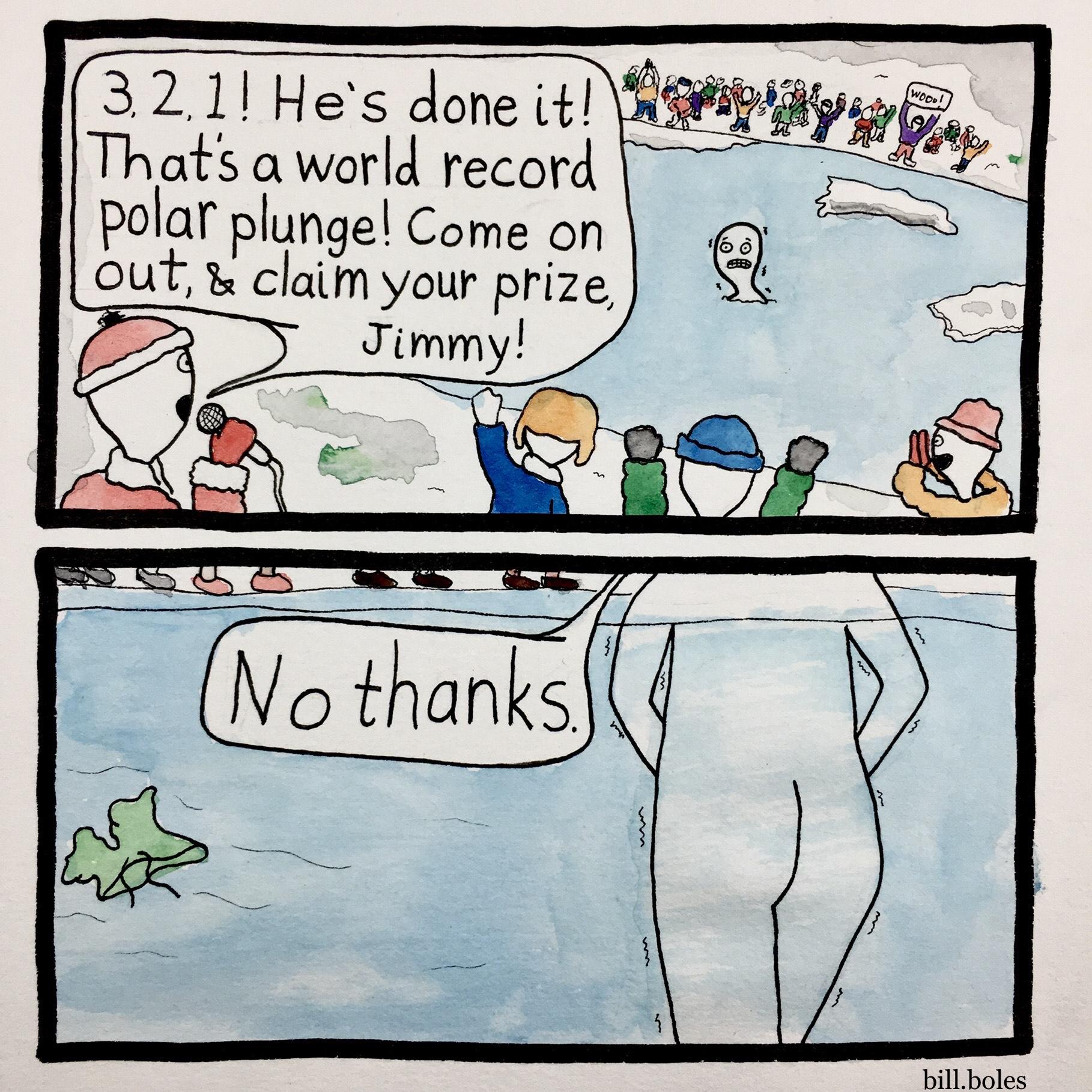 Polar Bear Plunge r/funny