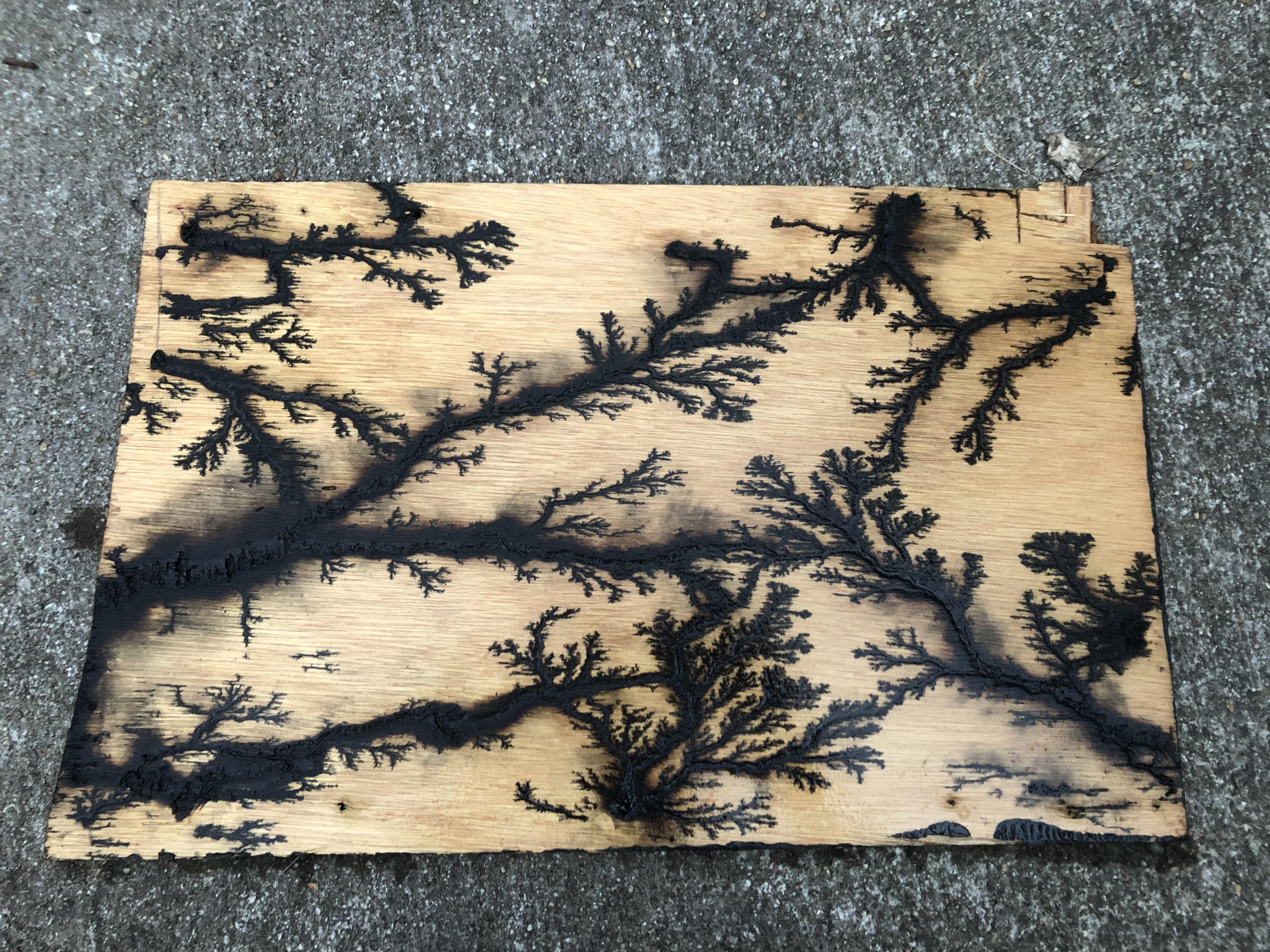 My first try at wood burning with high voltage, thoughts? r/woodburning
