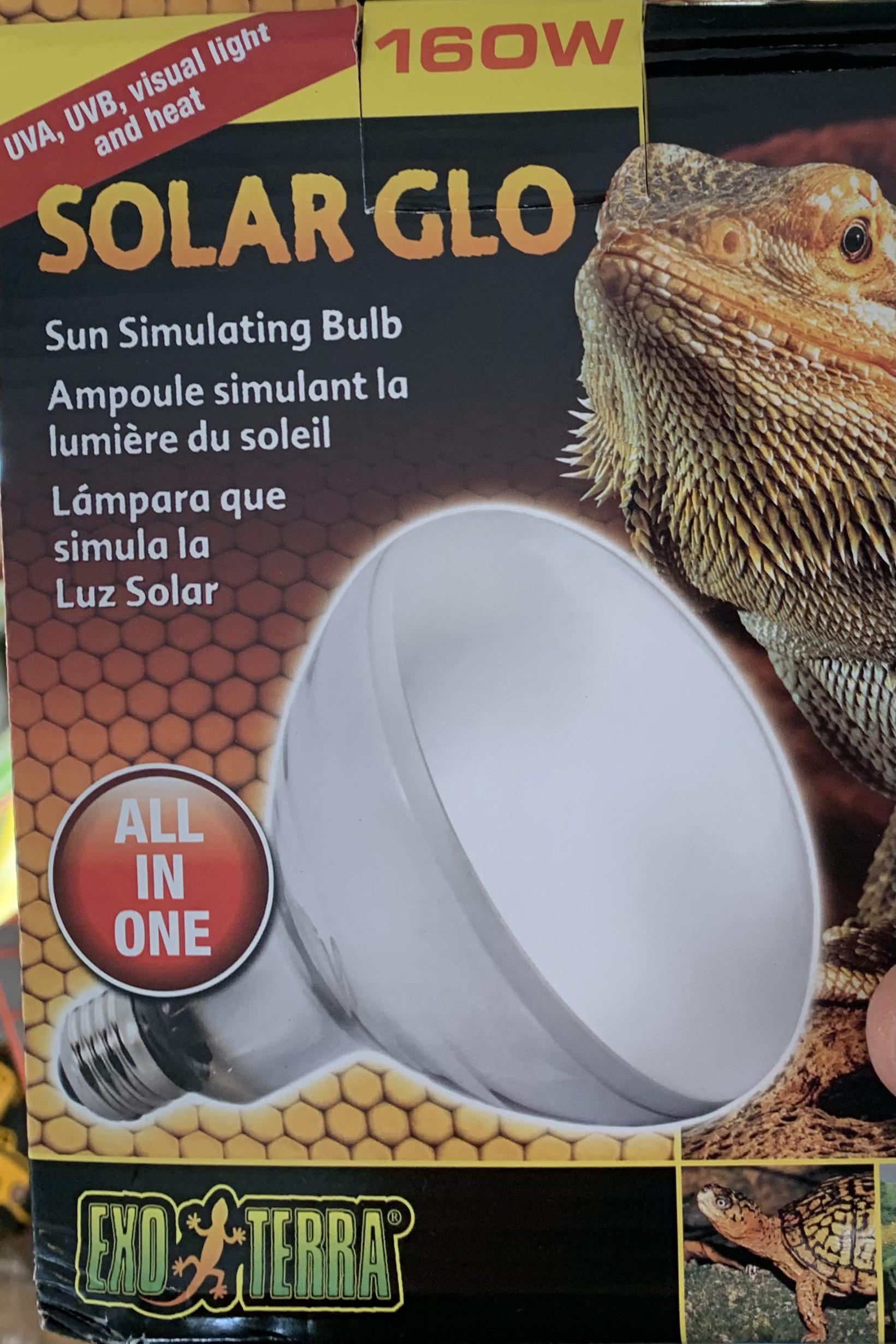 Russian Tortoise Light/Heat needs r/tortoise