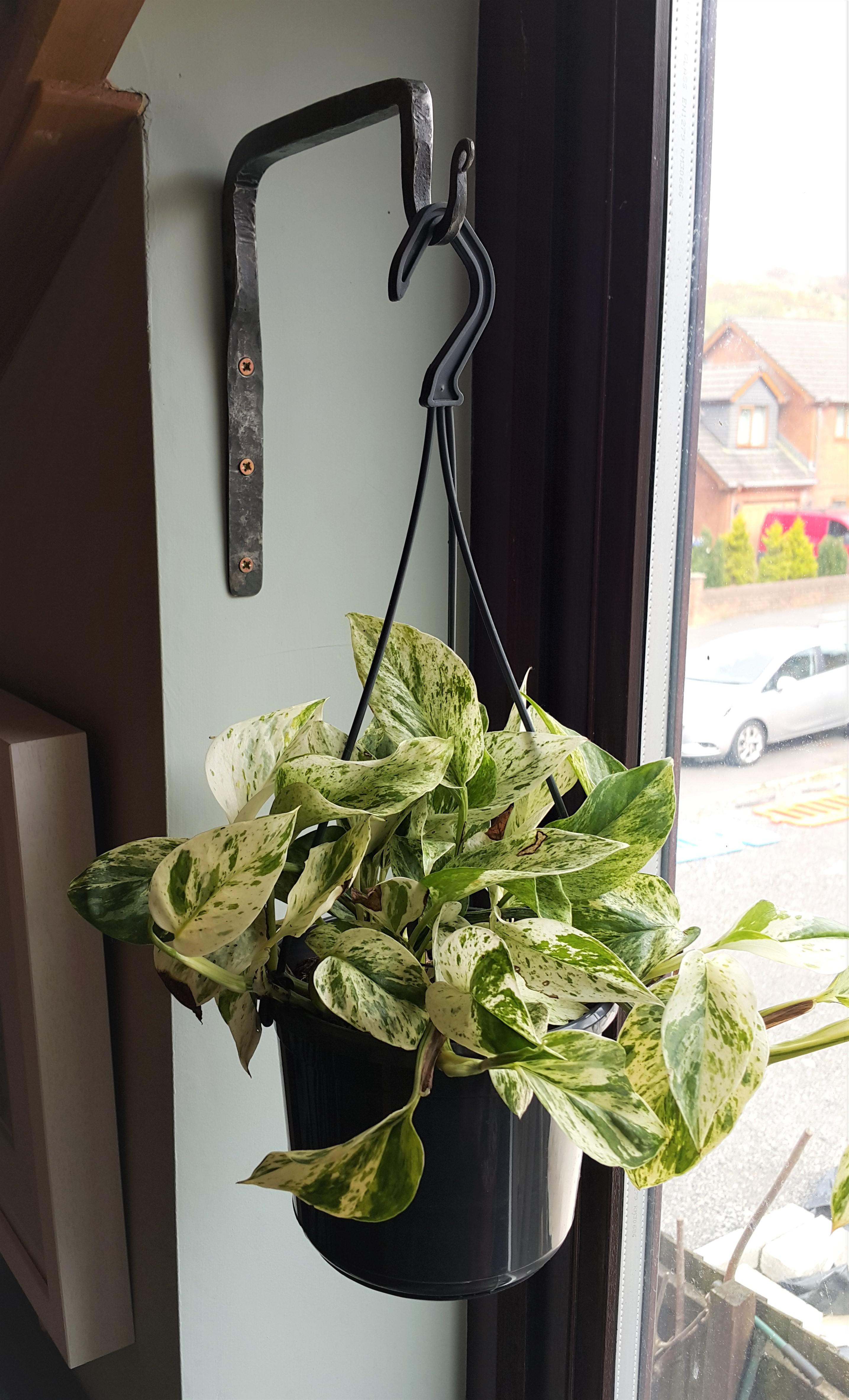 I guy I know set up his own and wanted some practice work. I paid