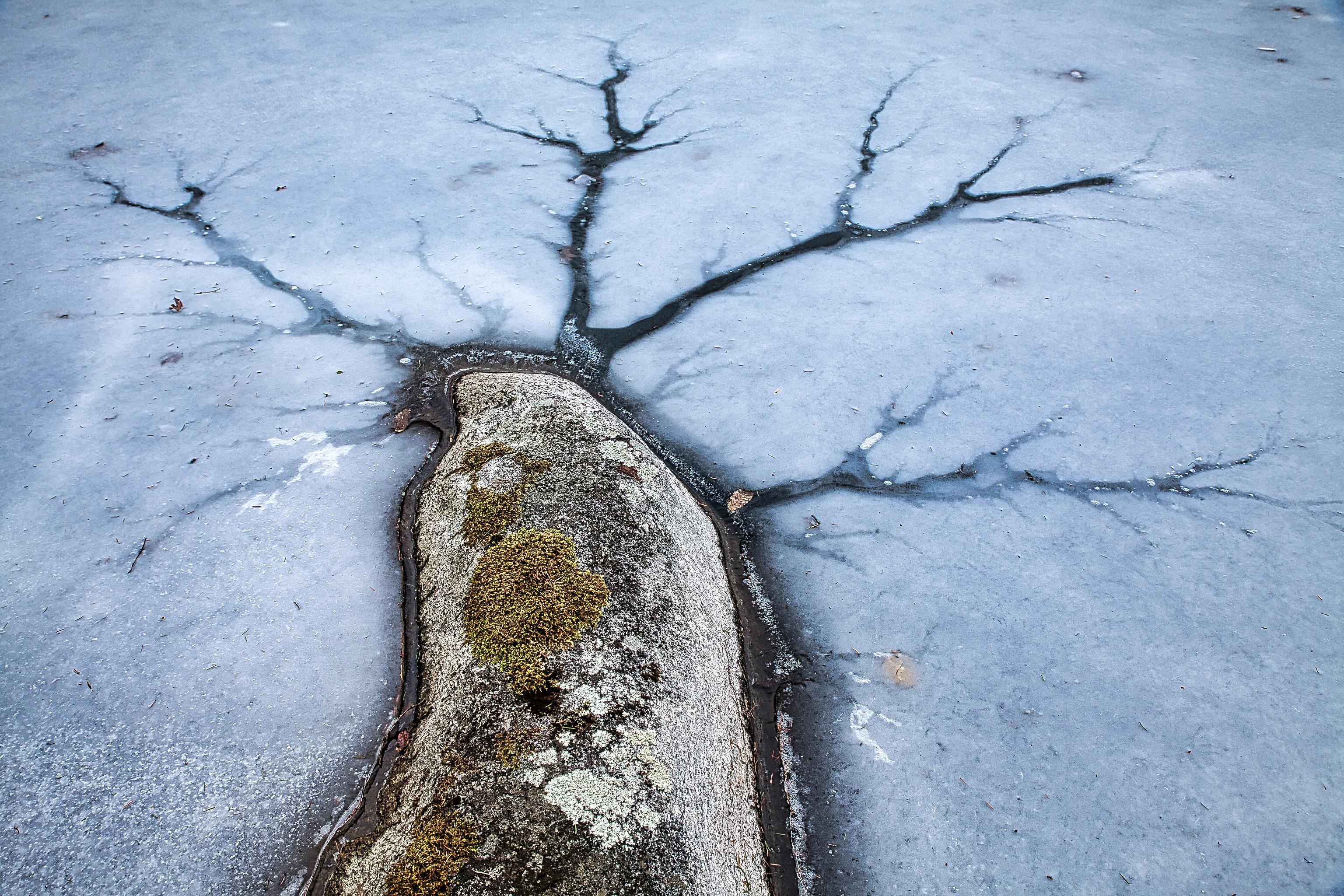 Tree branch, nerve cell, lightning — cracked ice r/pics