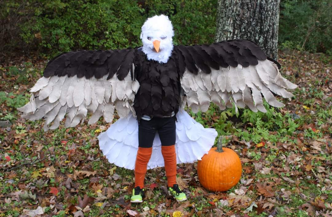Incredible Homemade Eagle Costume r/pics