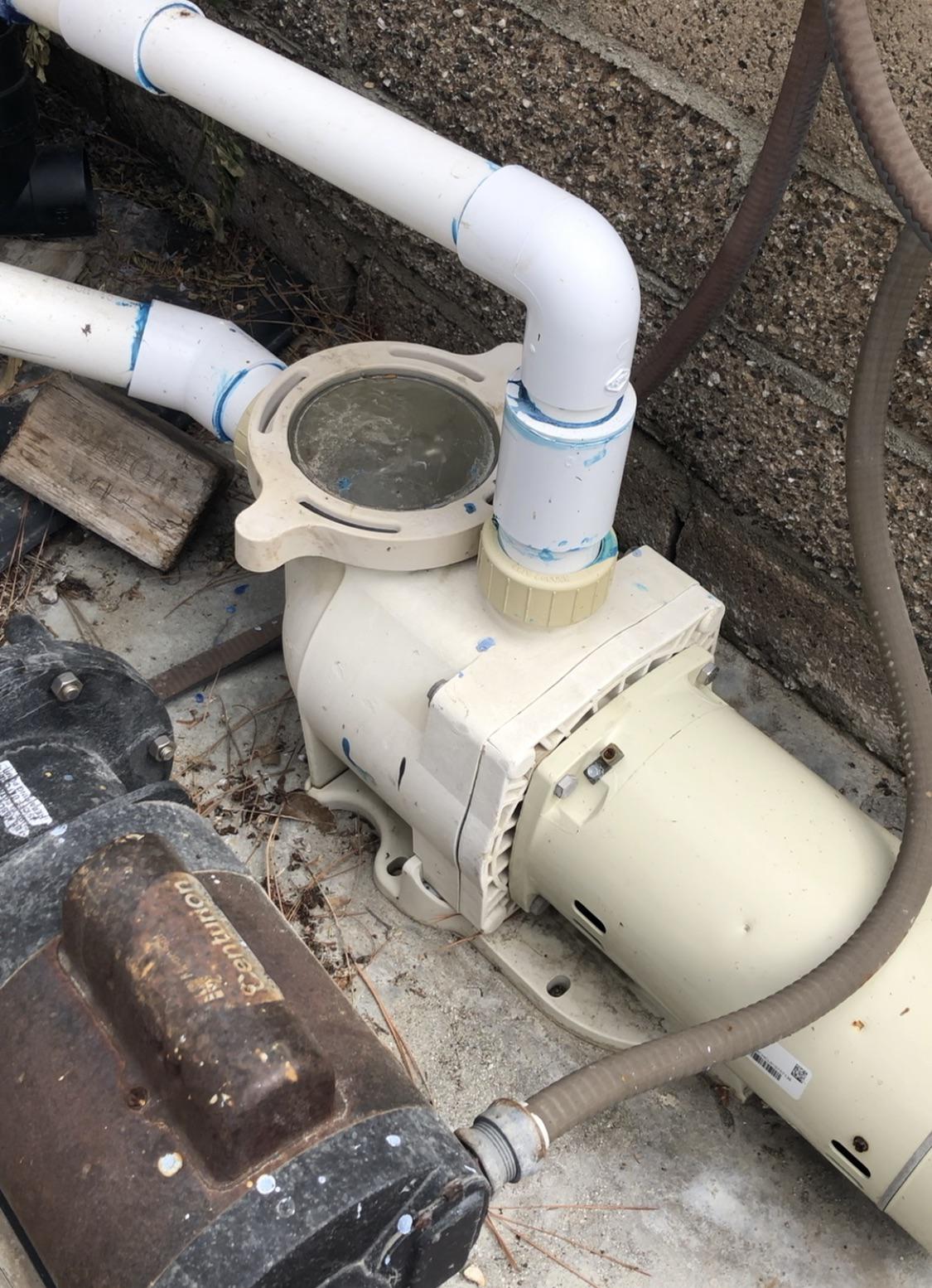 Pump motor making more noise then usual.. cleaned the filter like 3 weeks ago and flow is great