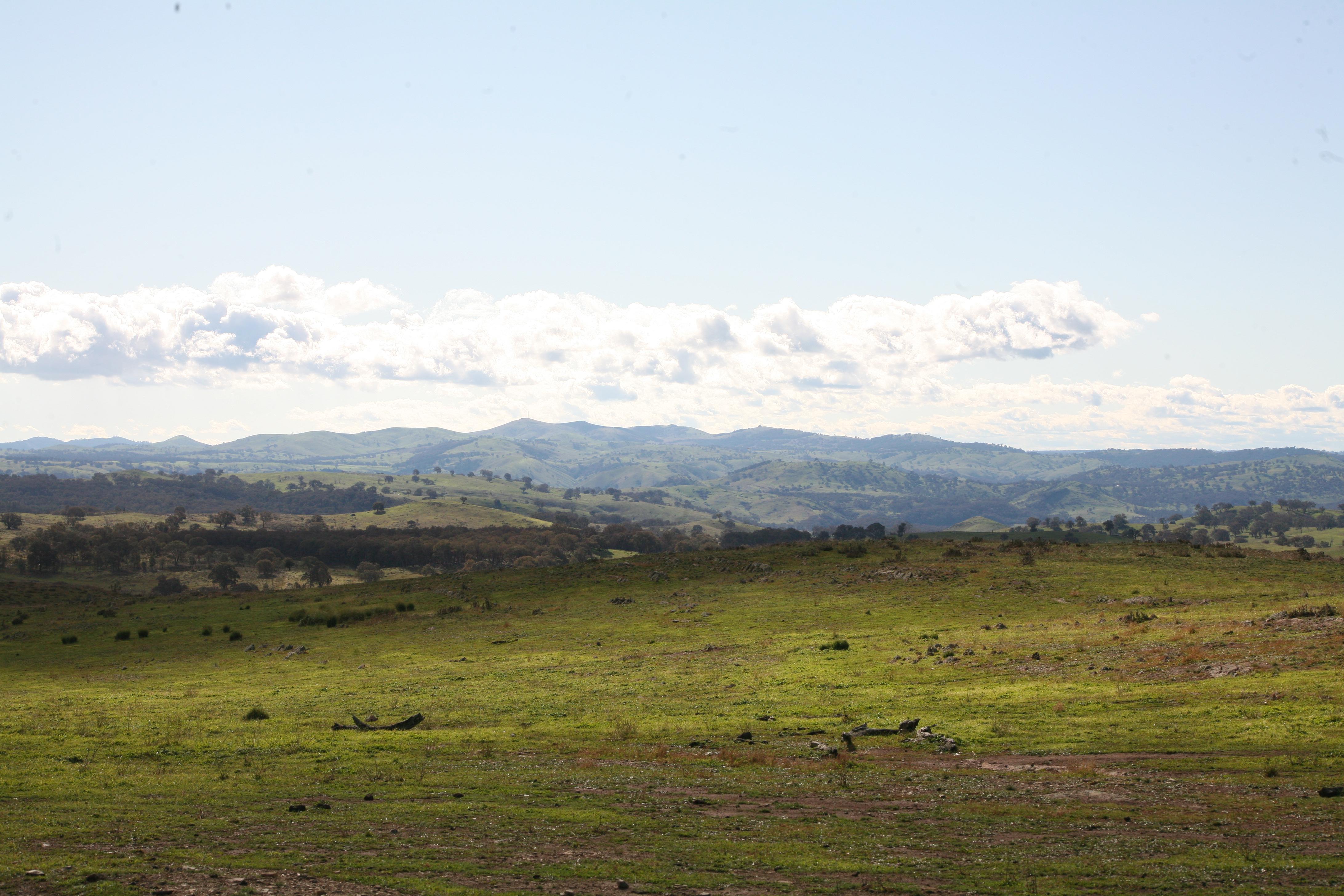 Road to Wee Jasper r/Canberra2