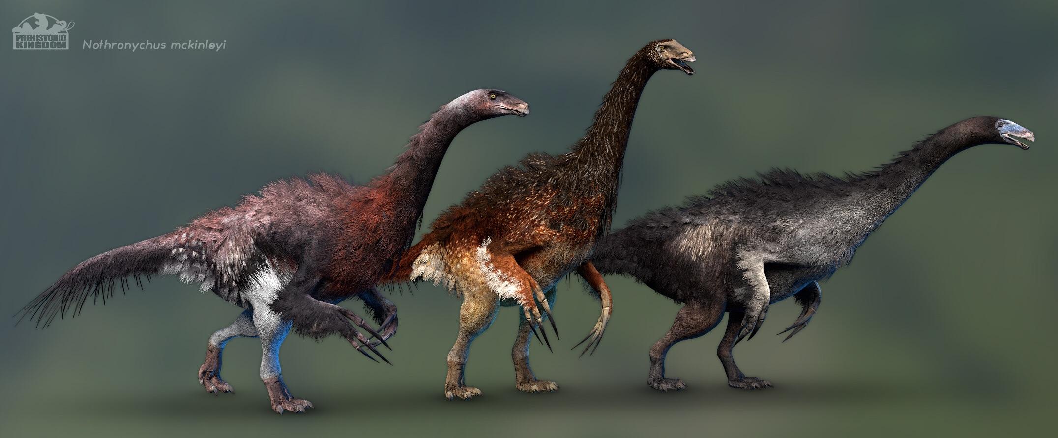 Nothronycus mckinleyi from Prehistoric Kingdom