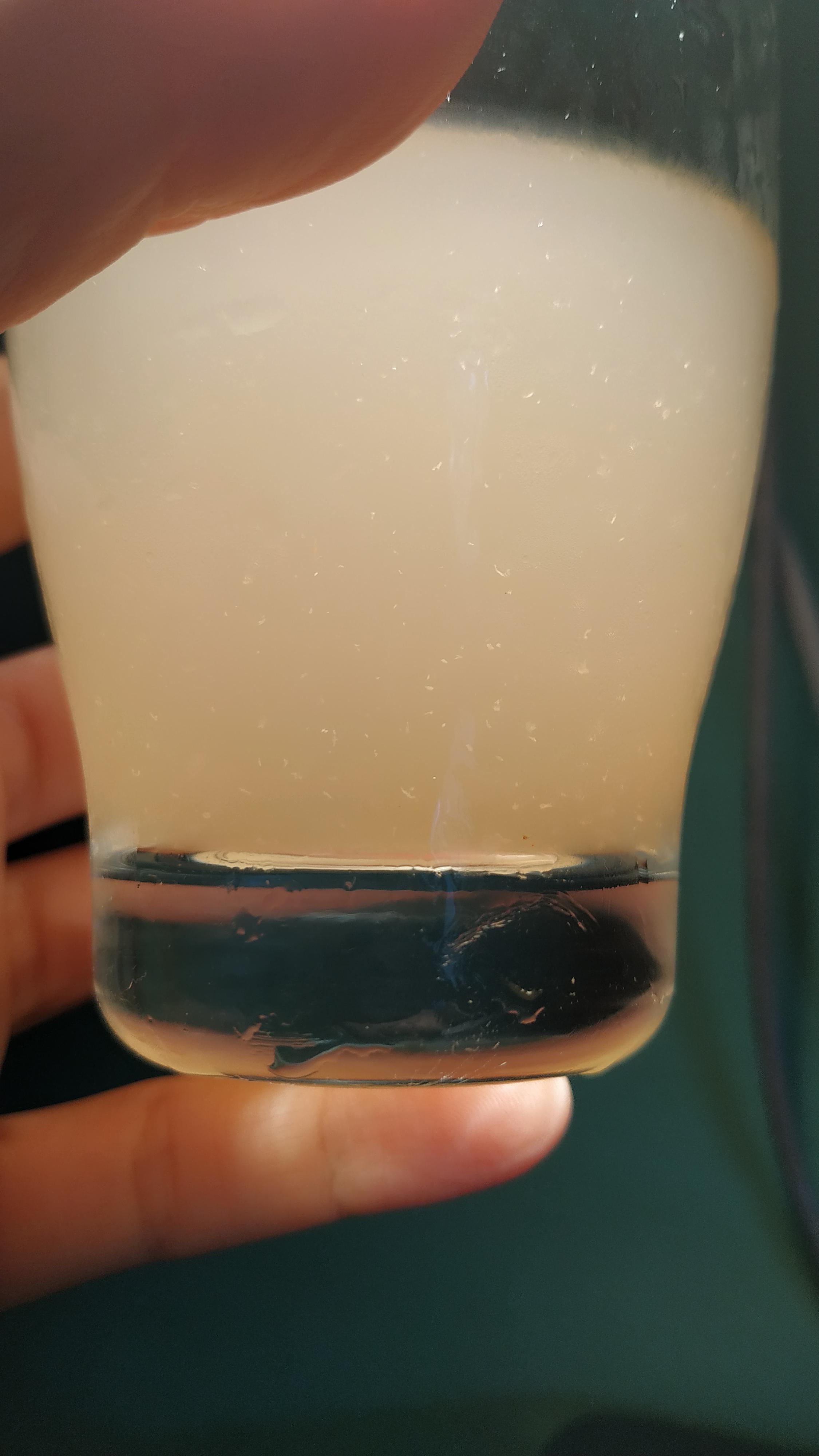 Carrot & Turmeric Kombucha (first try) r/Kombucha