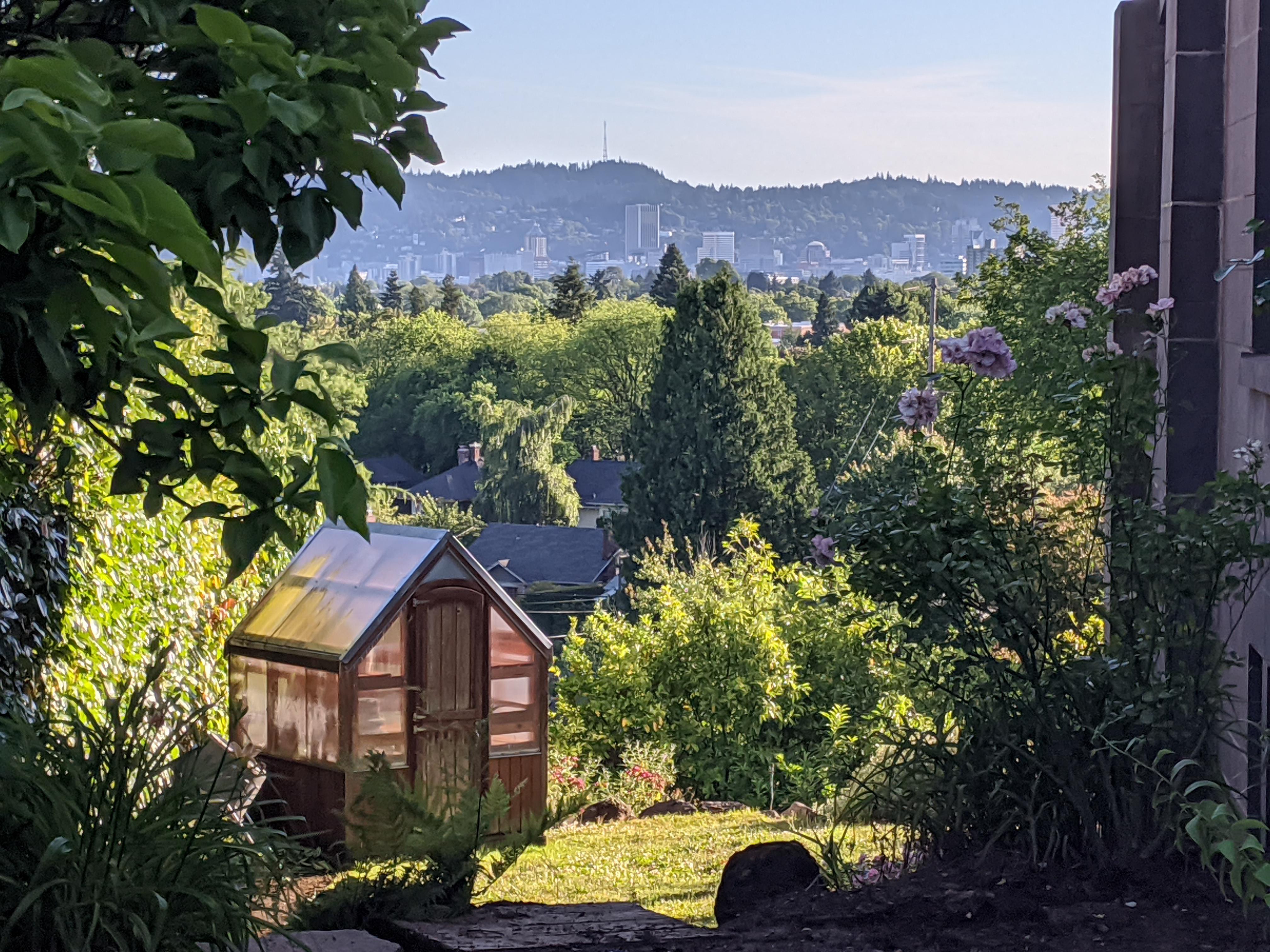 Took this nice shot on Alameda street, they got some nice houses and