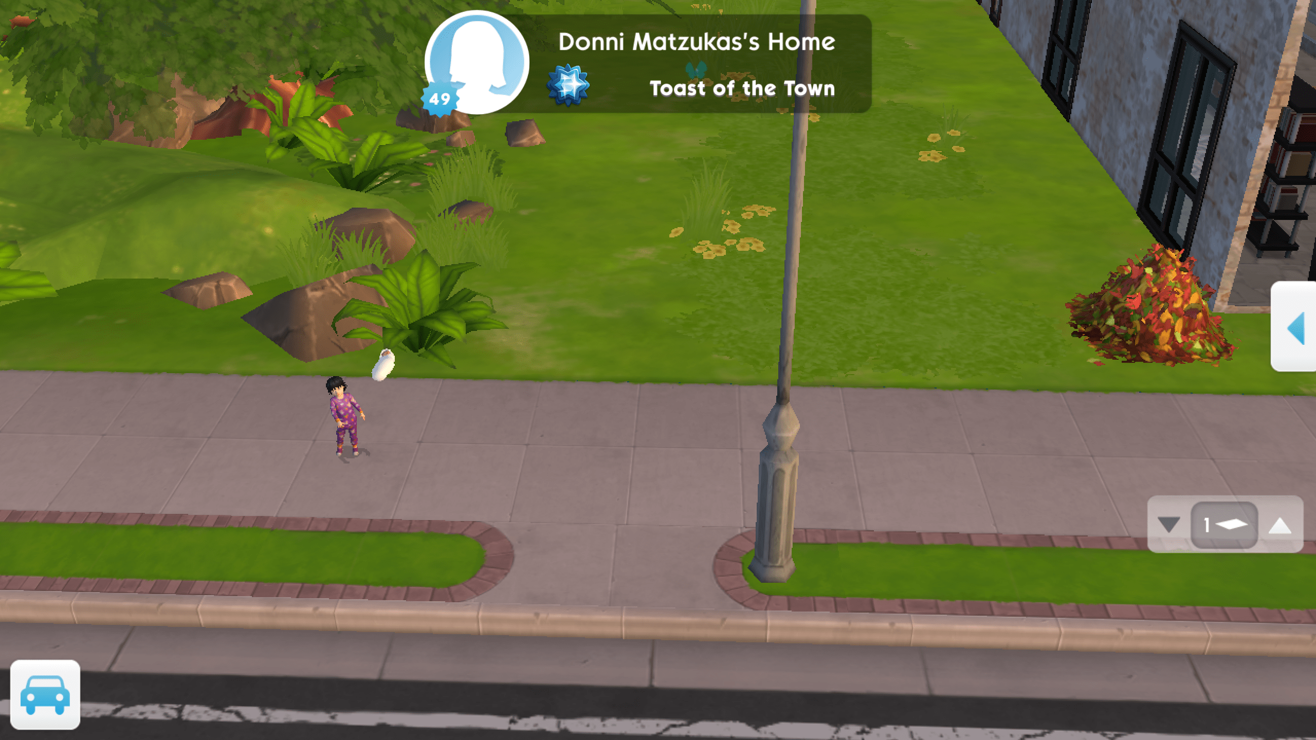 My friend completed the baby quest for the first time. I peek in her