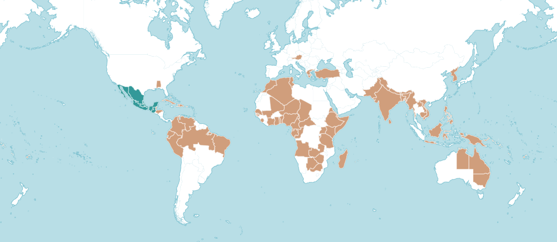 Origin of the chili pepper [1448 x 500] r/MapPorn
