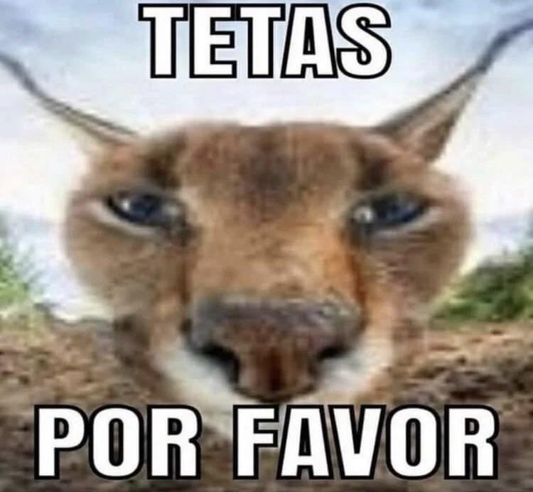 I think I know what he wants r/Floppa