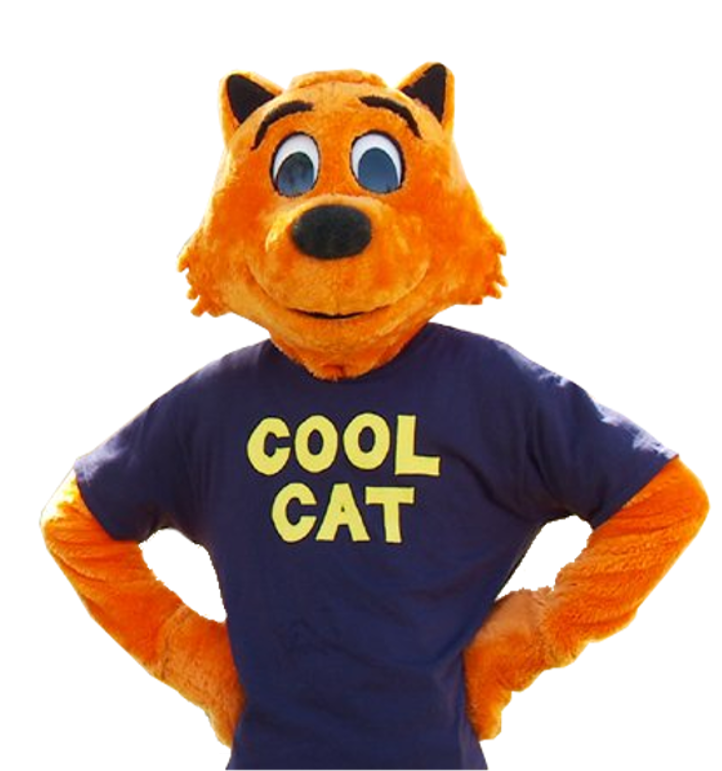 If you could get Cool Cat to say something in the interview