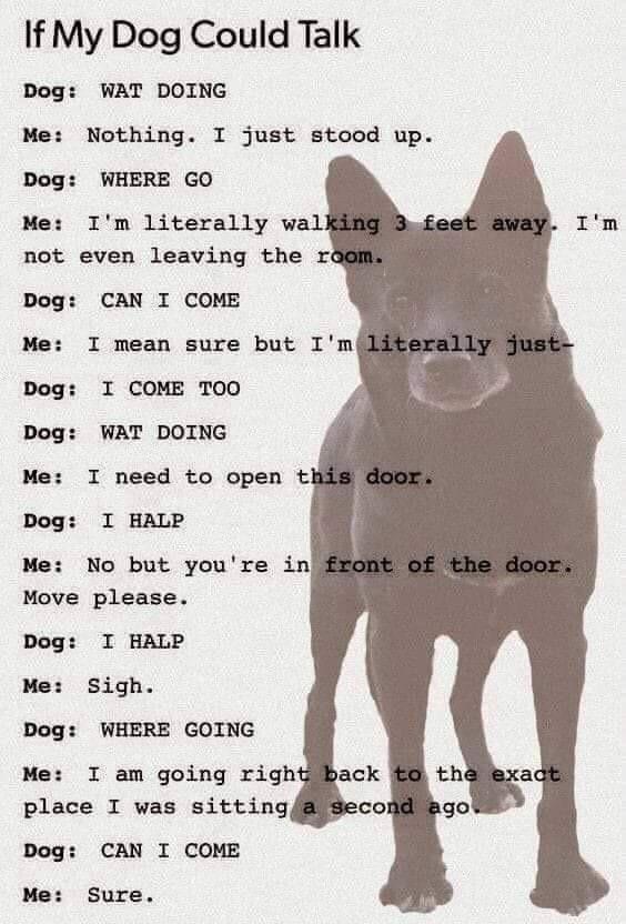 How Do Dogs Speak To You