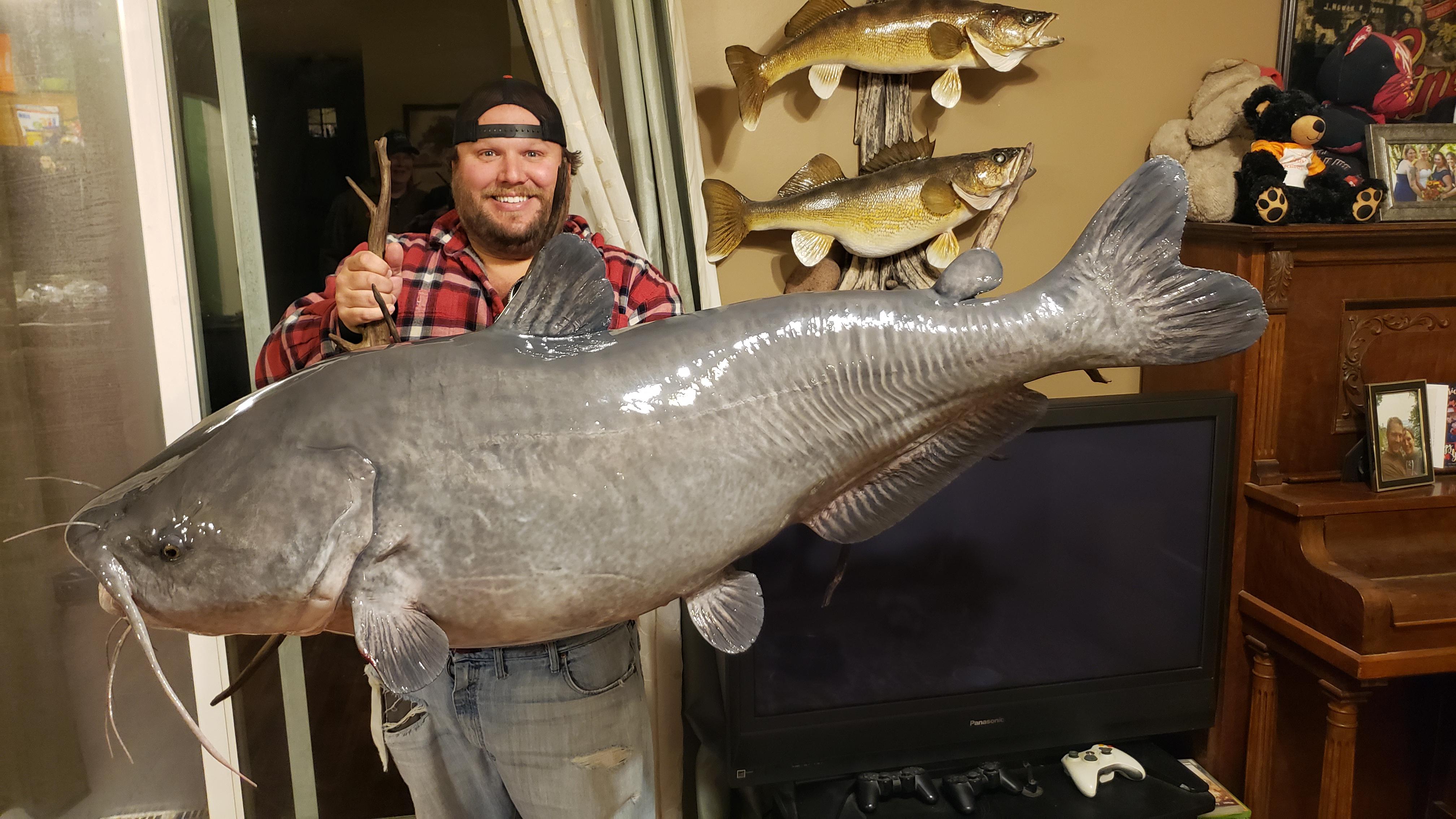 I picked up my catfish from the taxidermist!! r/Fishing