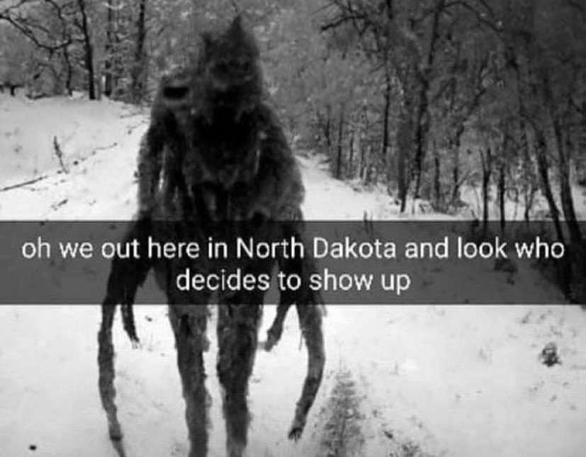 real North Dakotans will know r/CryptidMemes