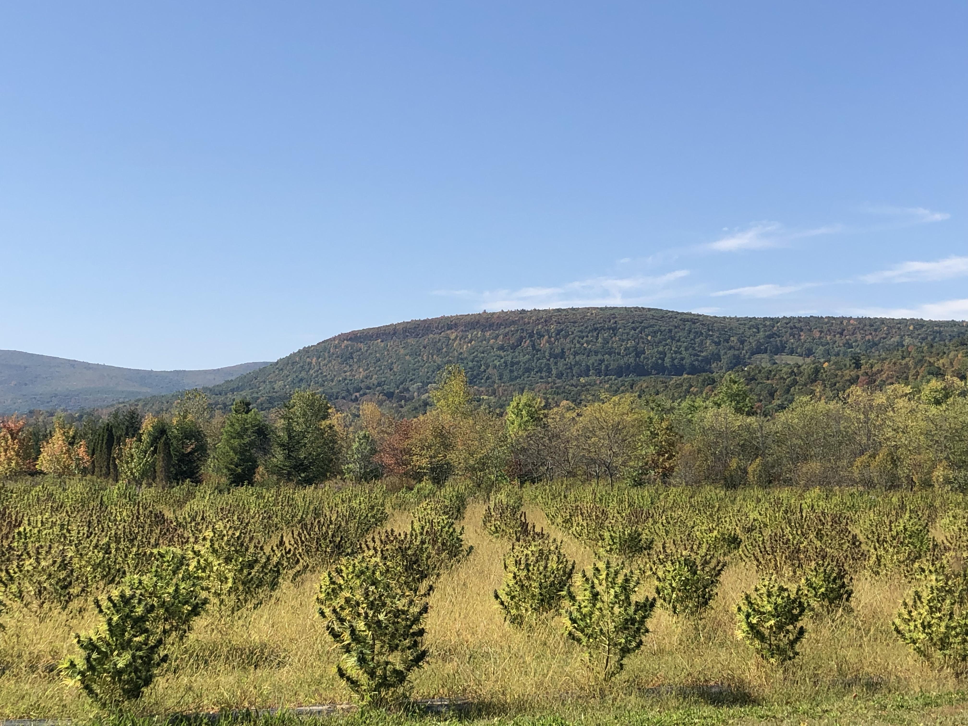 Hemp Farm in the Schoharie Valley r/pics