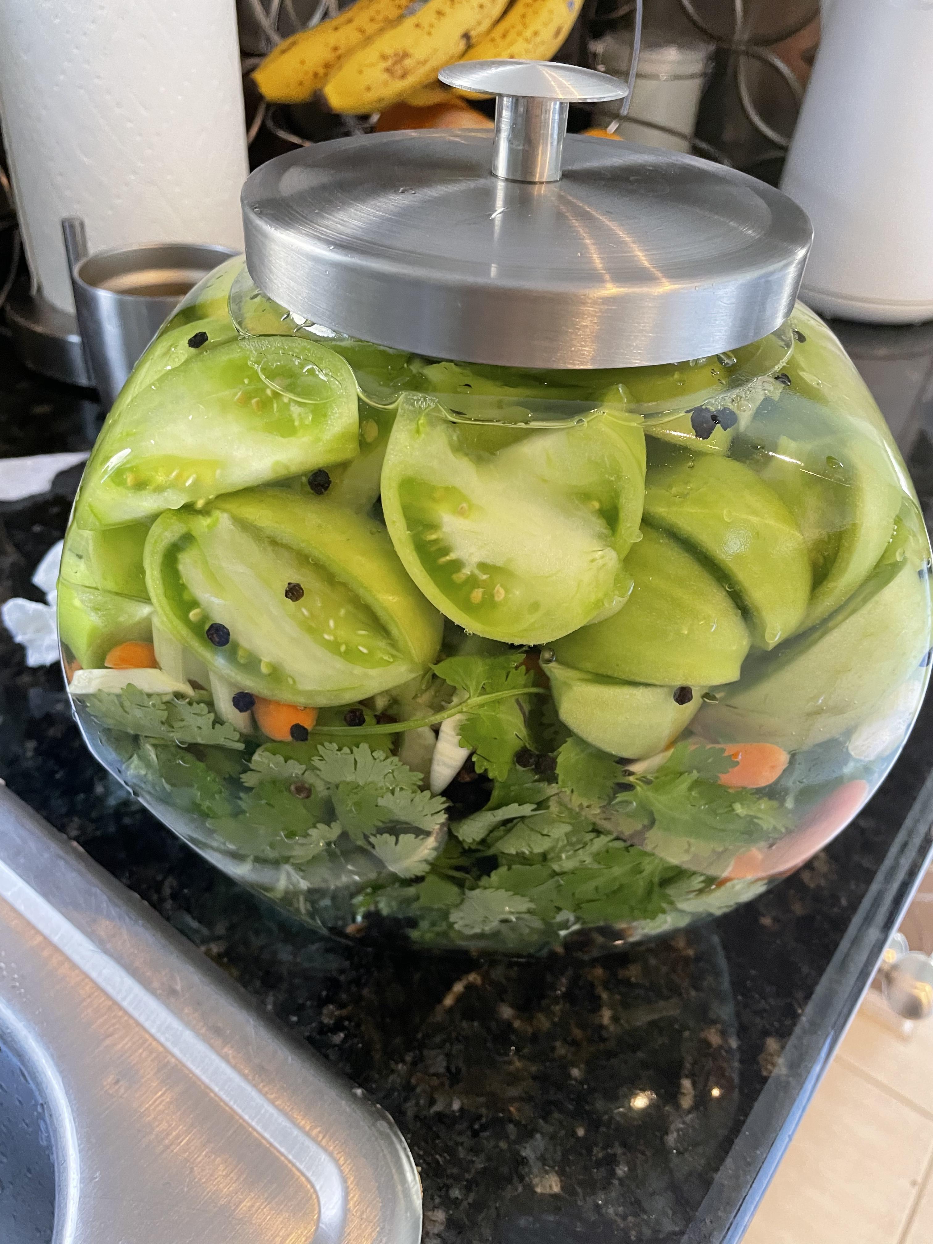 Experimenting with green tomatoes in 3 brine. Wish me luck! r