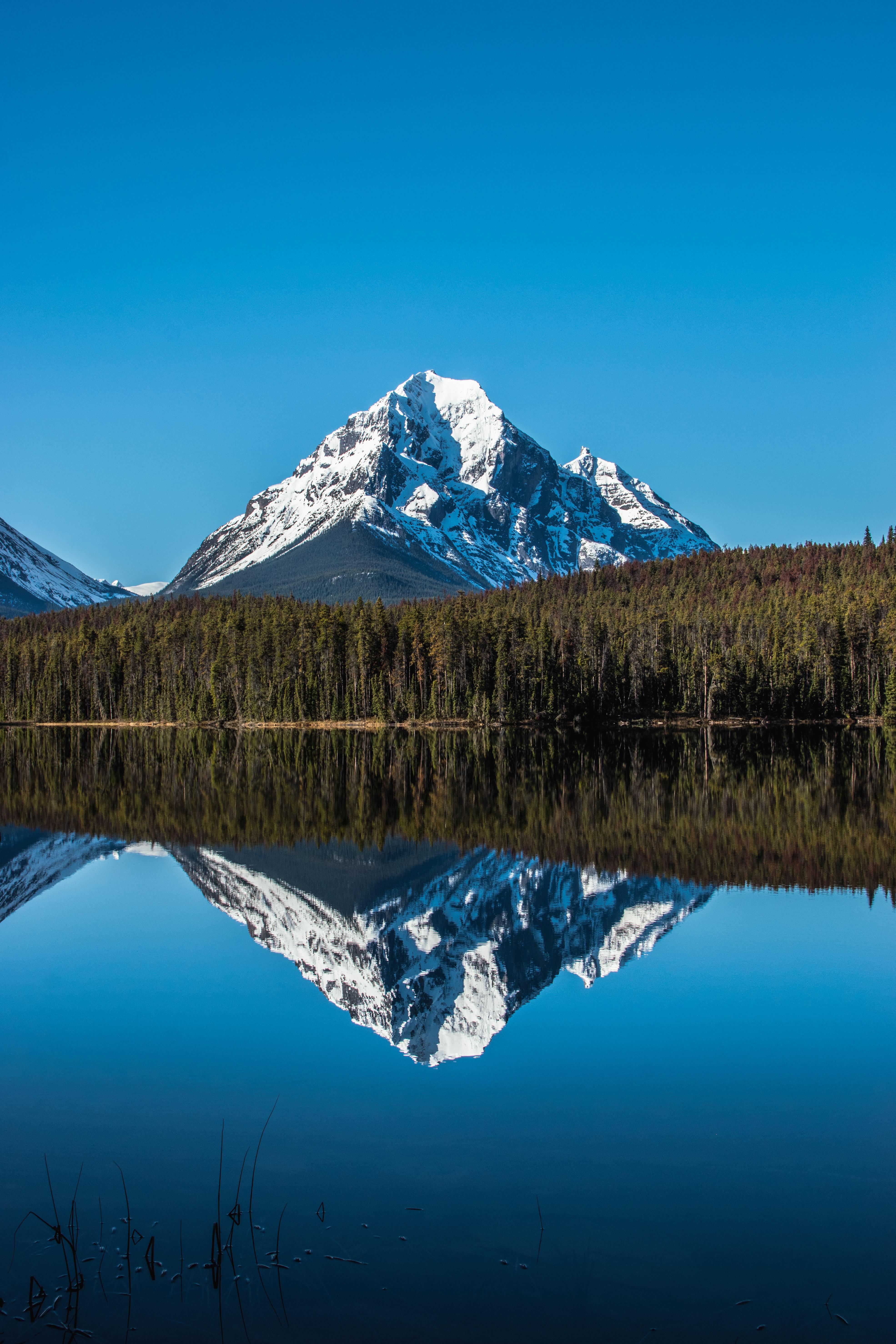 Leech Lake, Jasper National Park, Alberta, Canada [OC] [3941x5911] r/EarthPorn