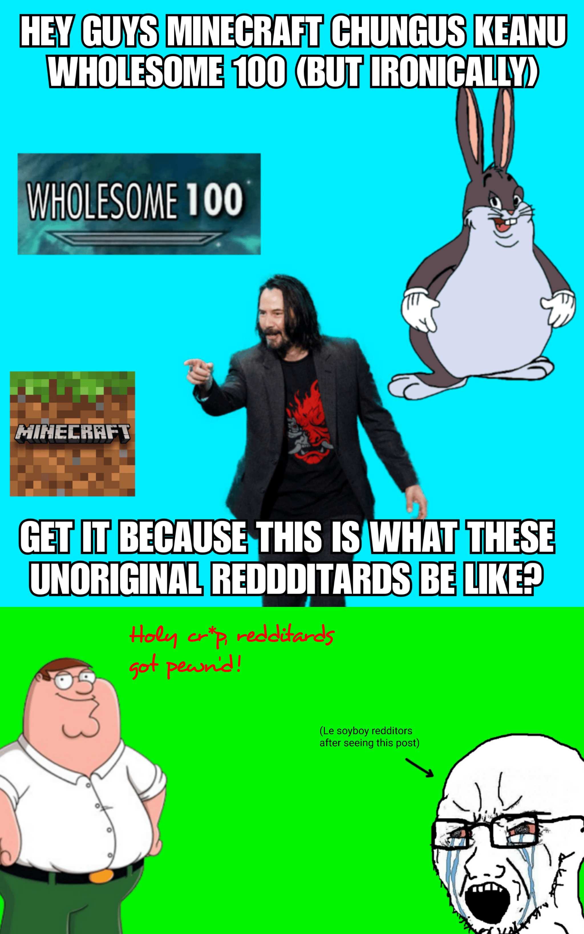 Epic Reddit irony meme 🤣🤣🤣 okbuddyretard