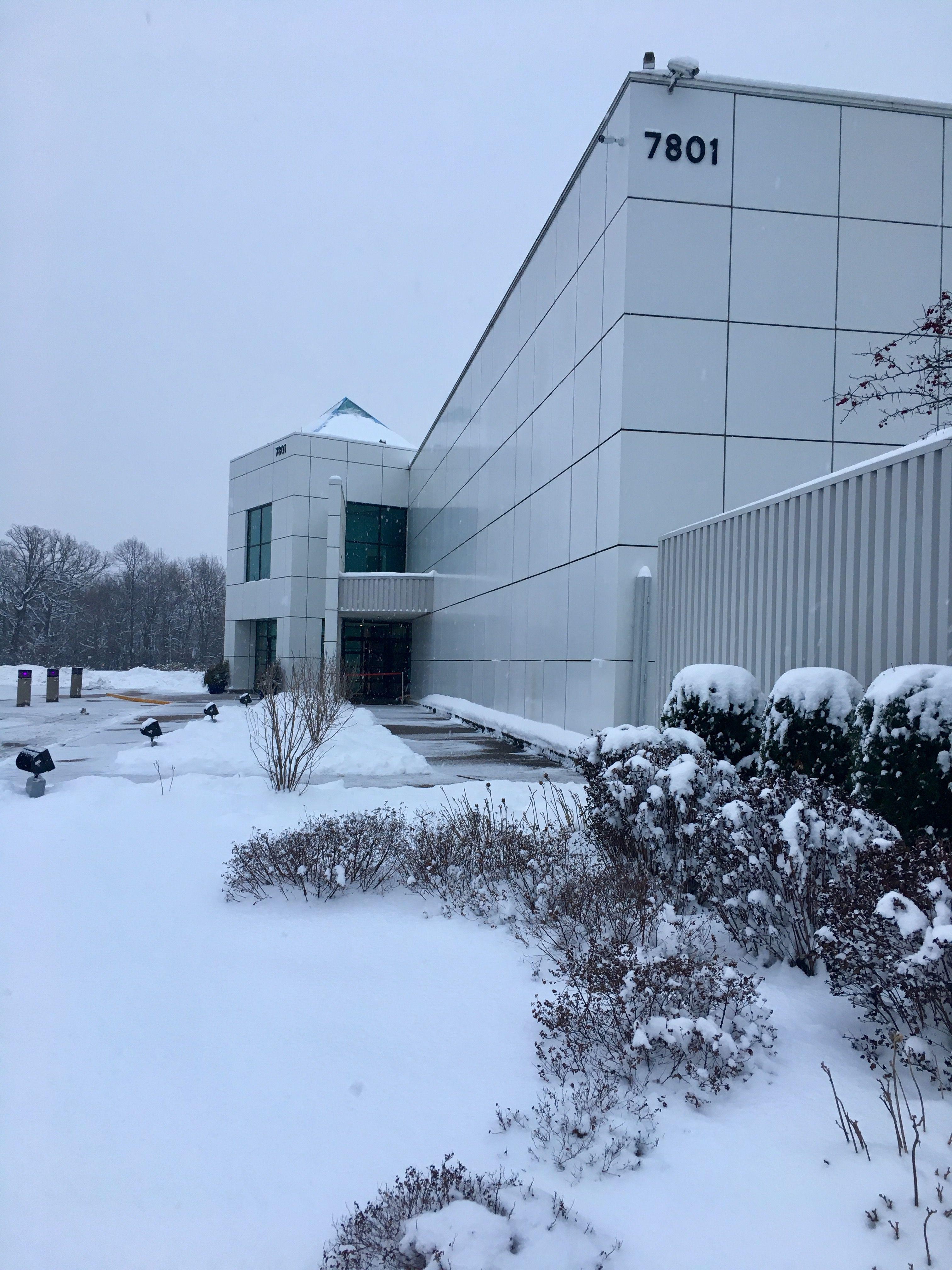 I have some great advice for anyone who wants to visit Paisley Park