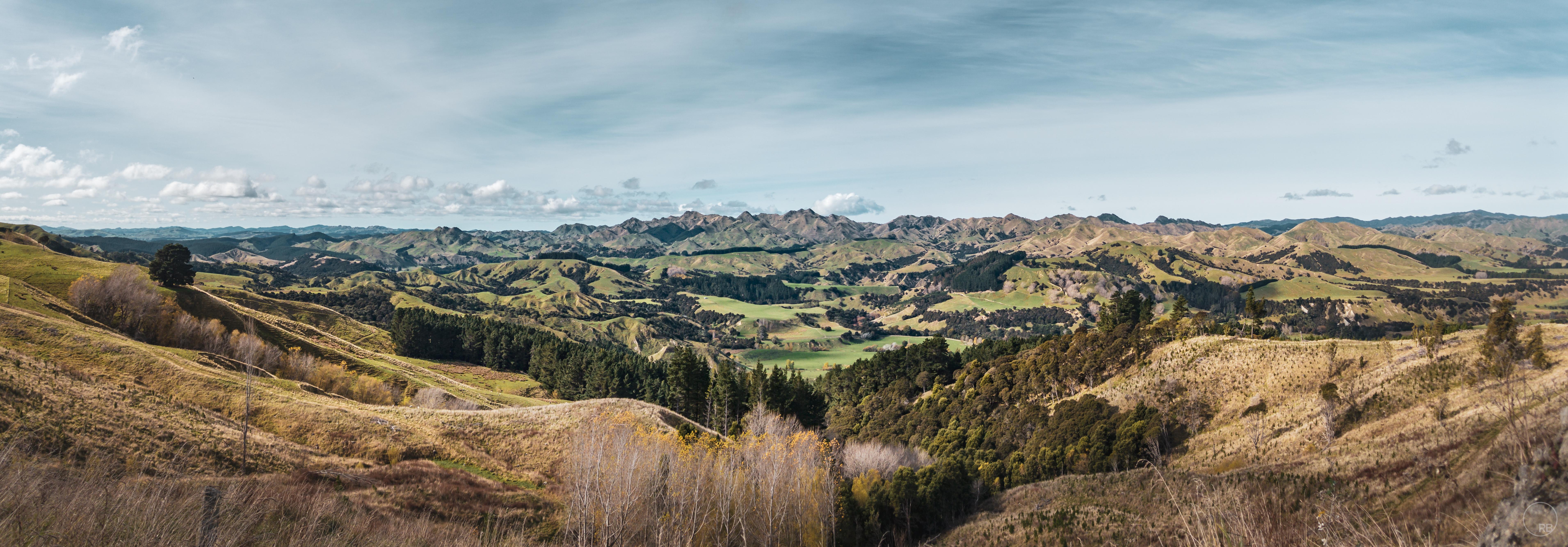 A photo of some hills in the Wairarapa r/newzealand