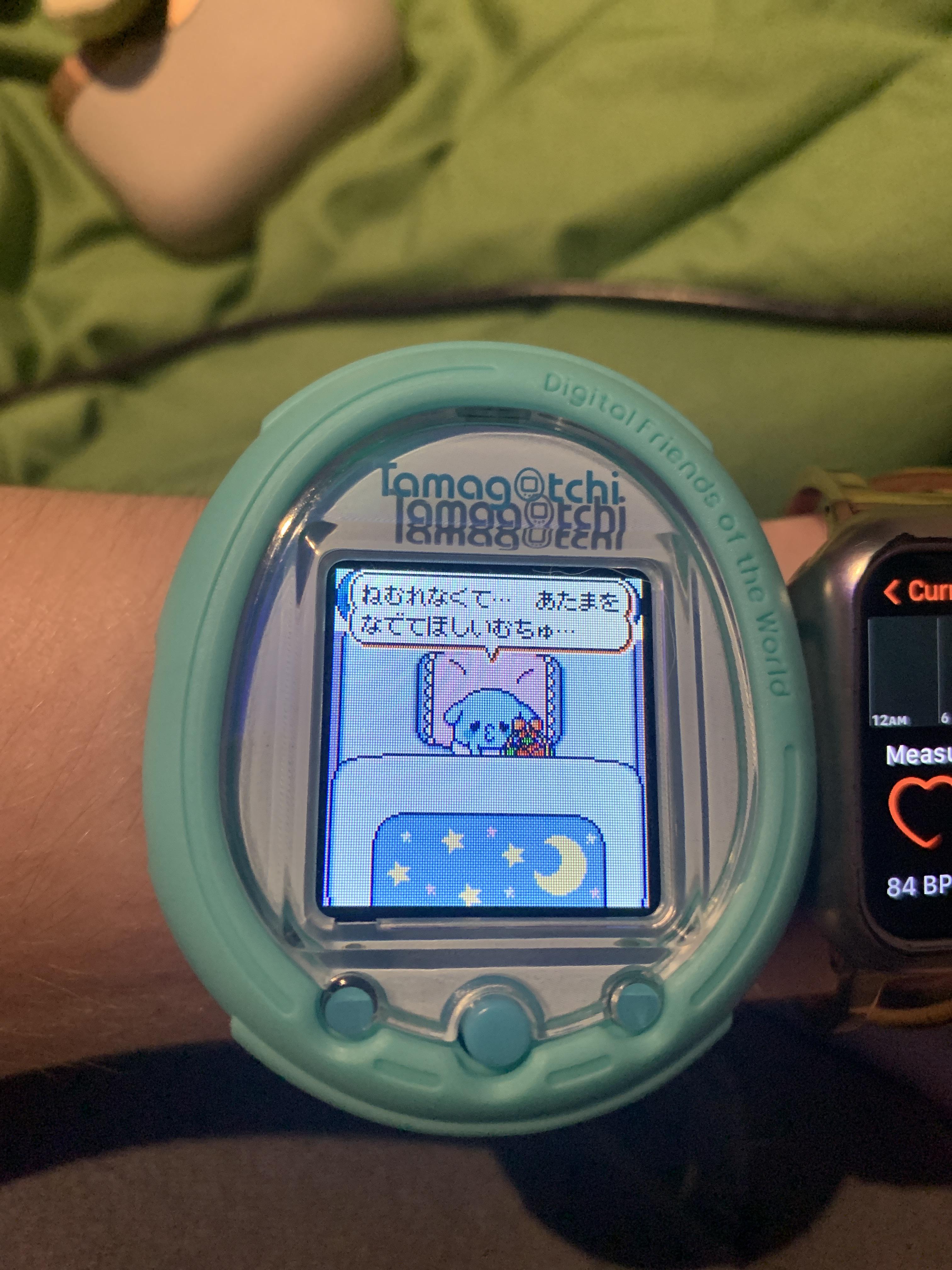 Help! What does this mean? r/tamagotchi